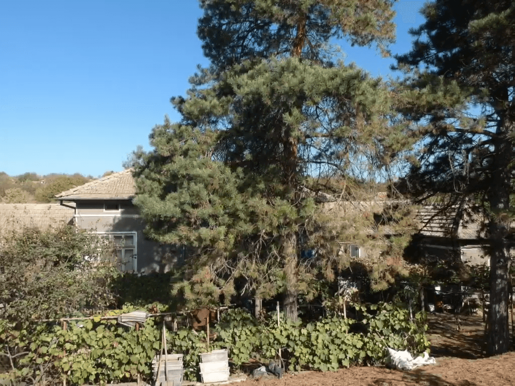 Mason Farmhouse – Blagoevo - thumbnail 4