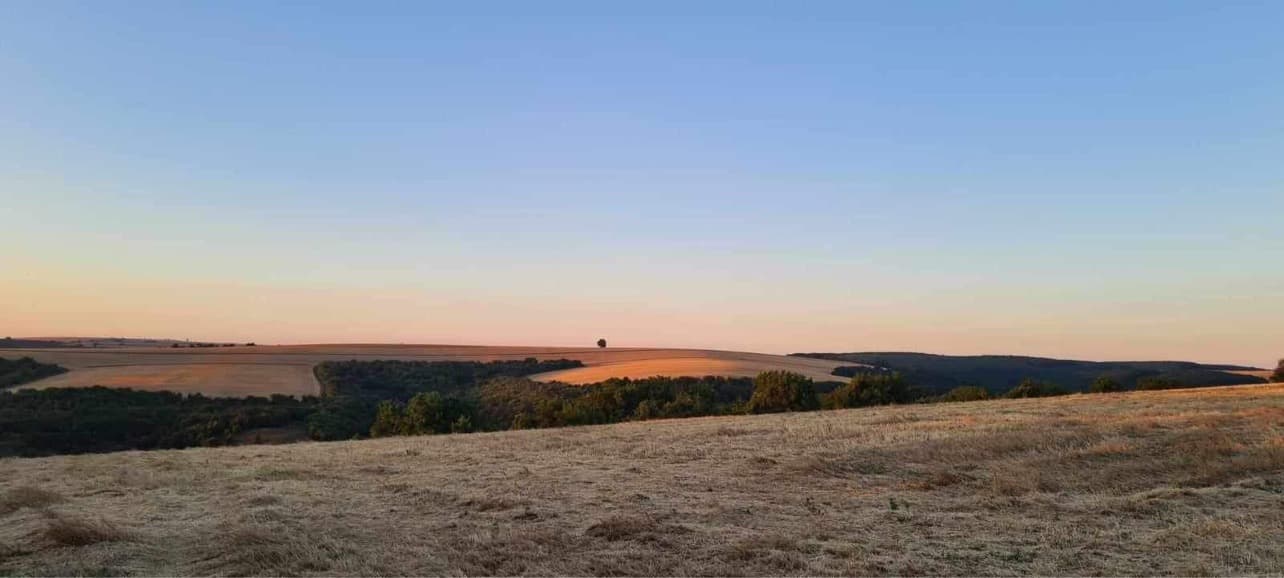 Clover House – Tsar Asen - thumbnail 2