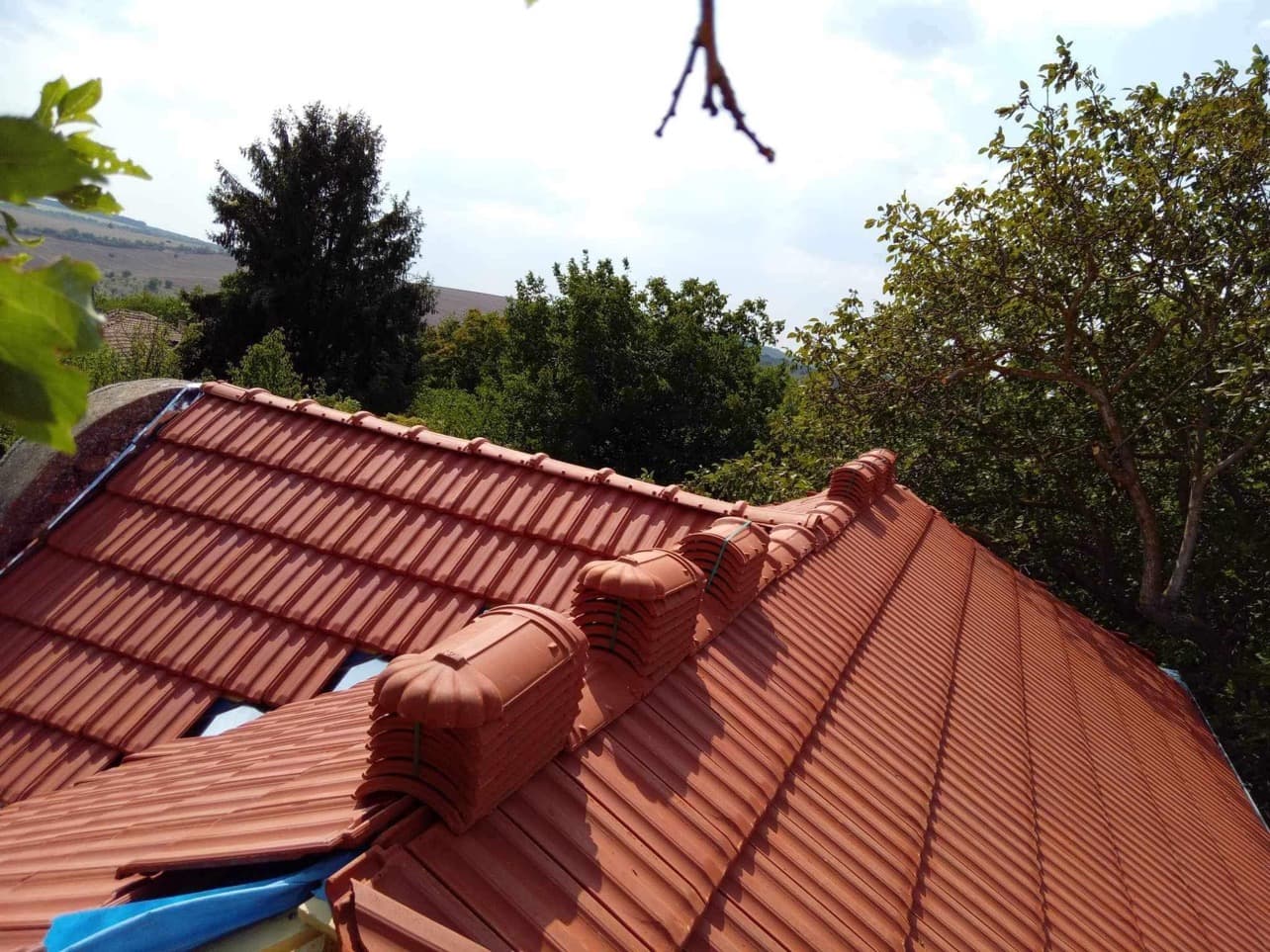 Clover House – Tsar Asen - thumbnail 4