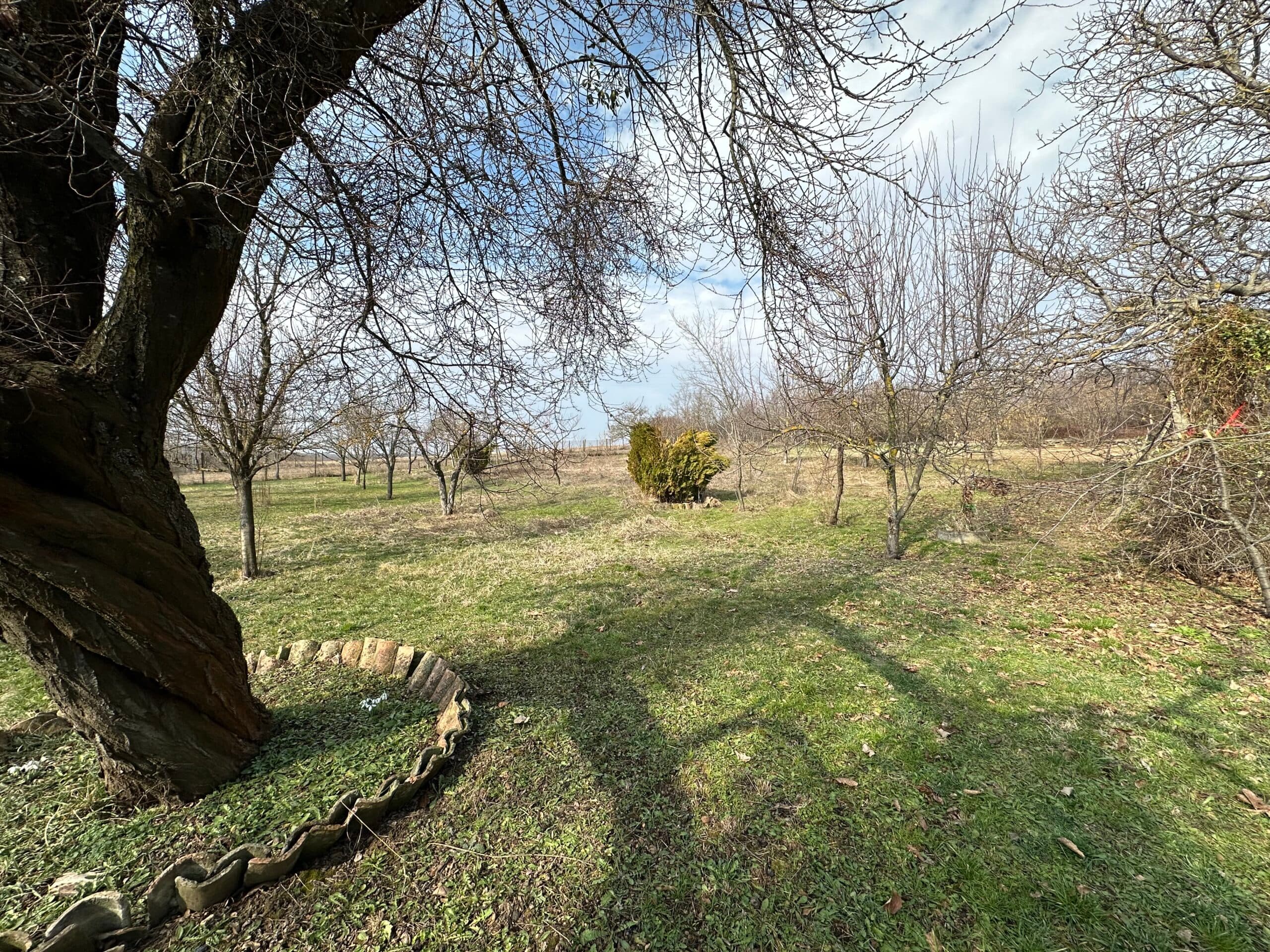 Sunrise Lodge – Berkovski - thumbnail 15