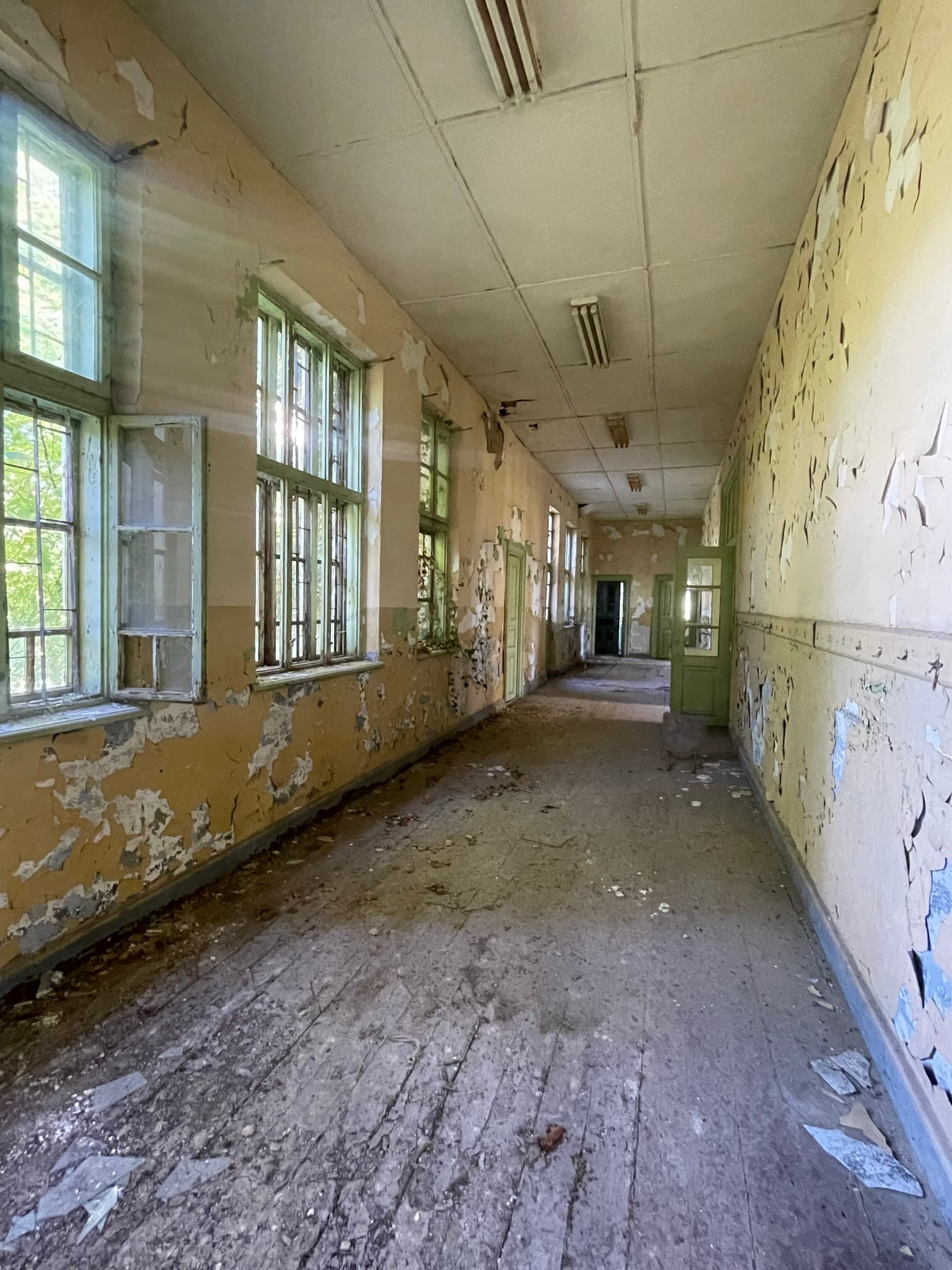 The Old School – Palamartsa - thumbnail 3