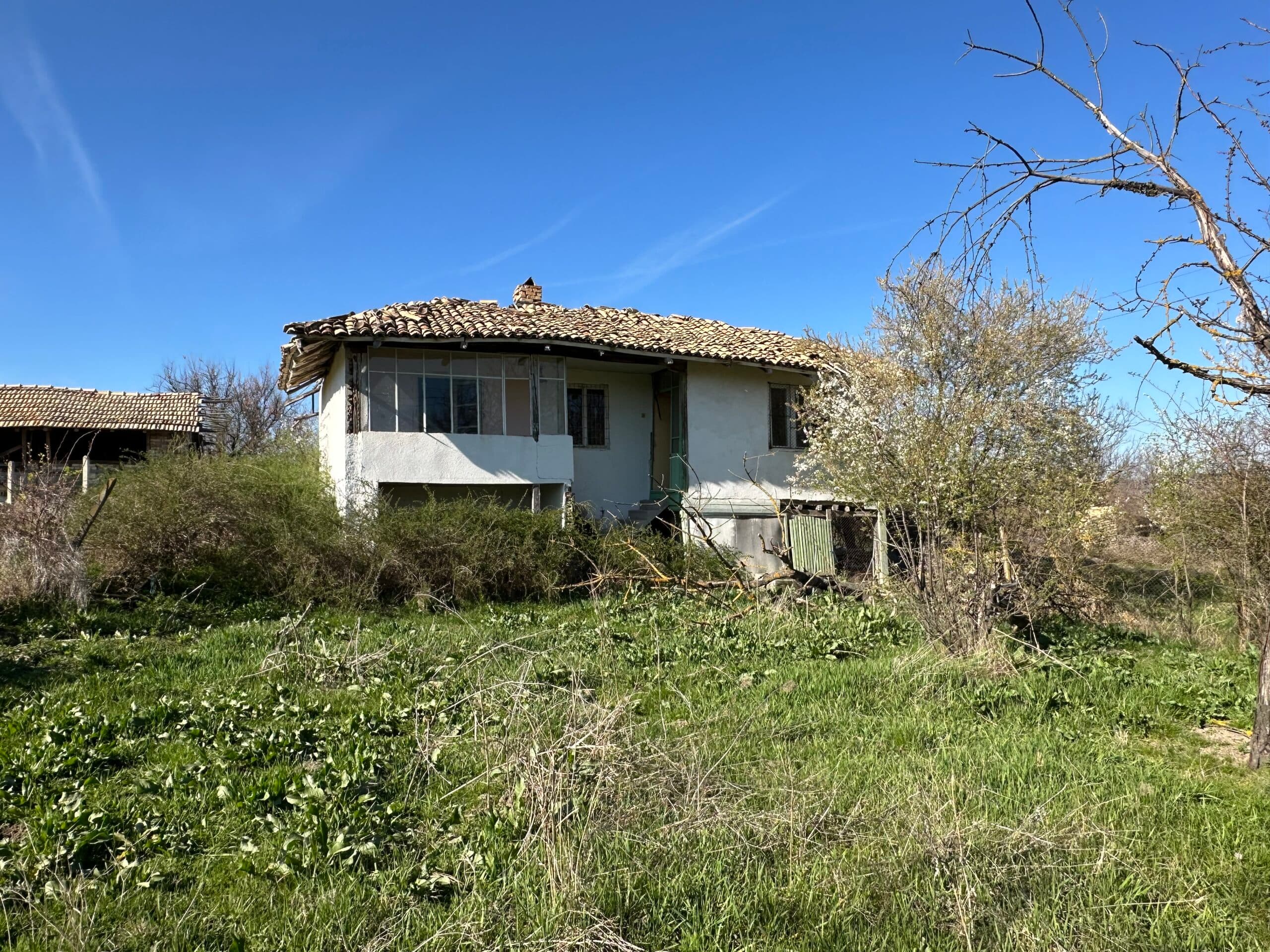 Brabus House – Palamartsa