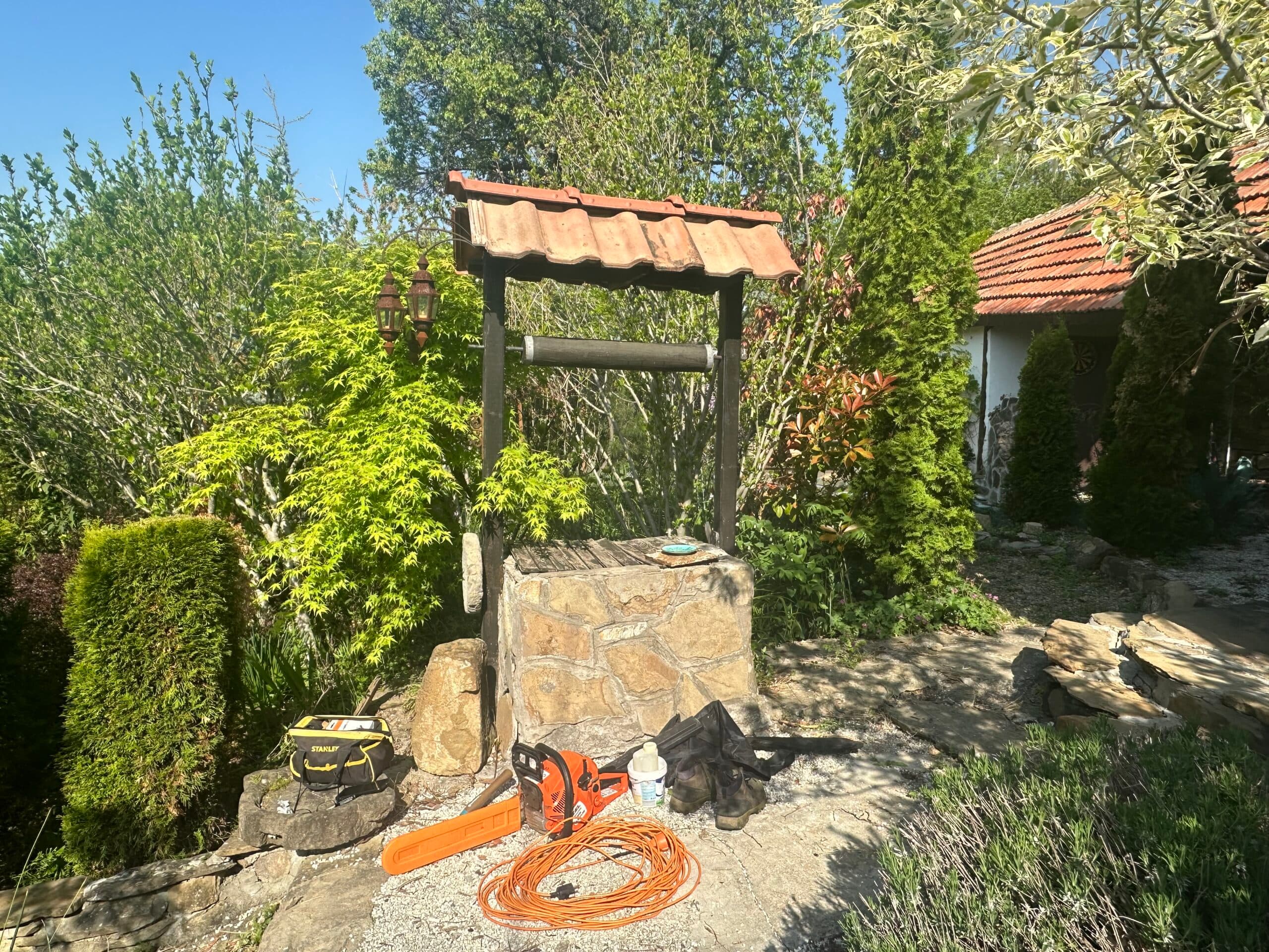 Peacock House – Bukovets V.T - thumbnail 2