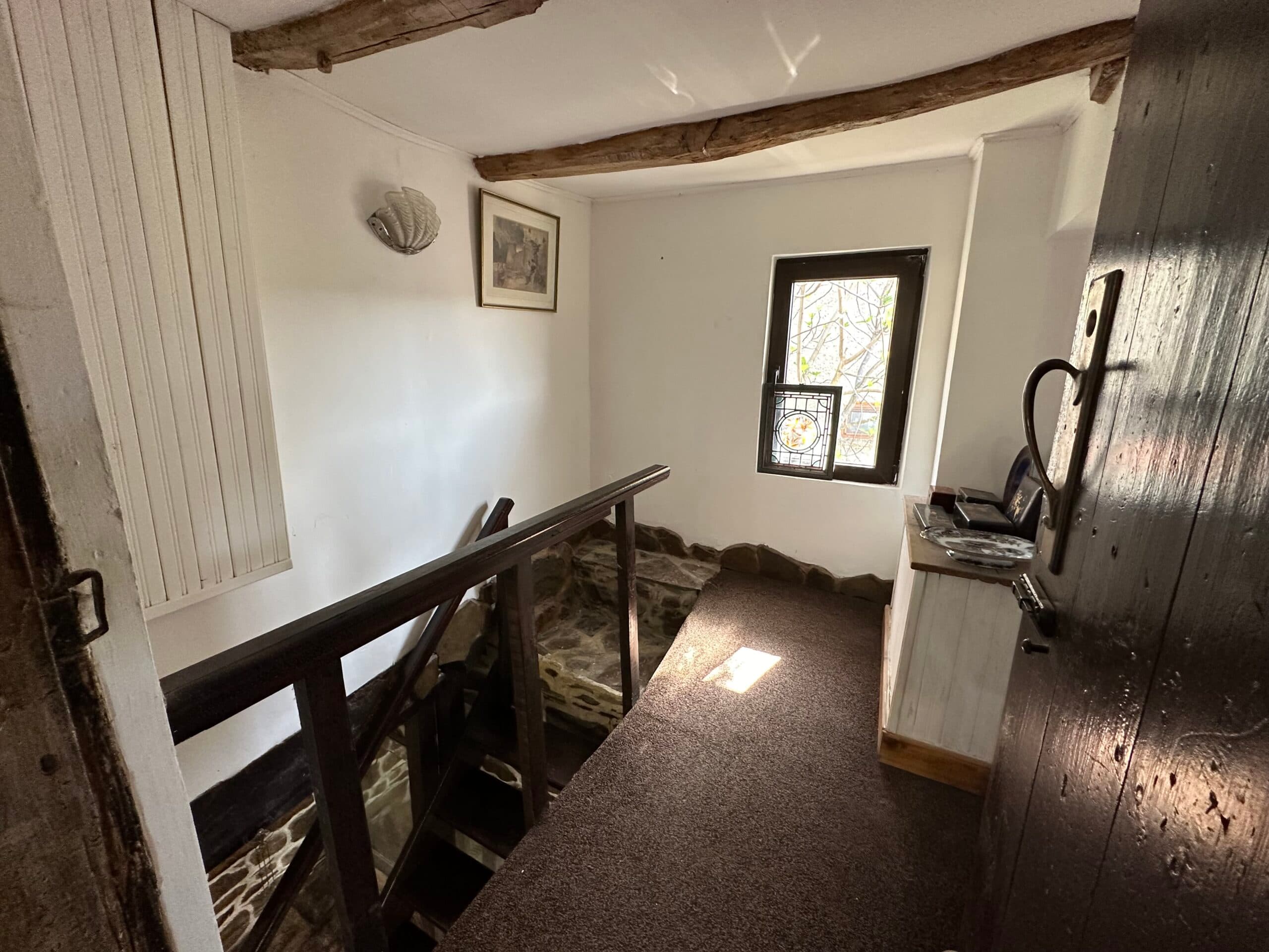 Peacock House – Bukovets V.T - thumbnail 13