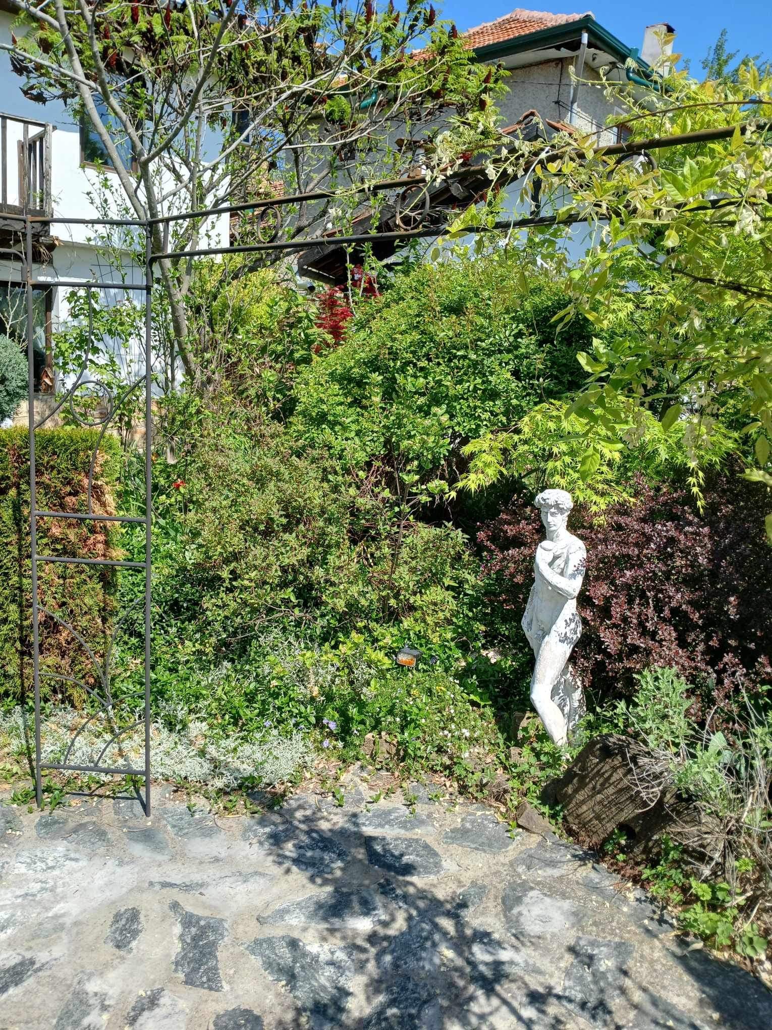 Peacock House – Bukovets V.T - thumbnail 17