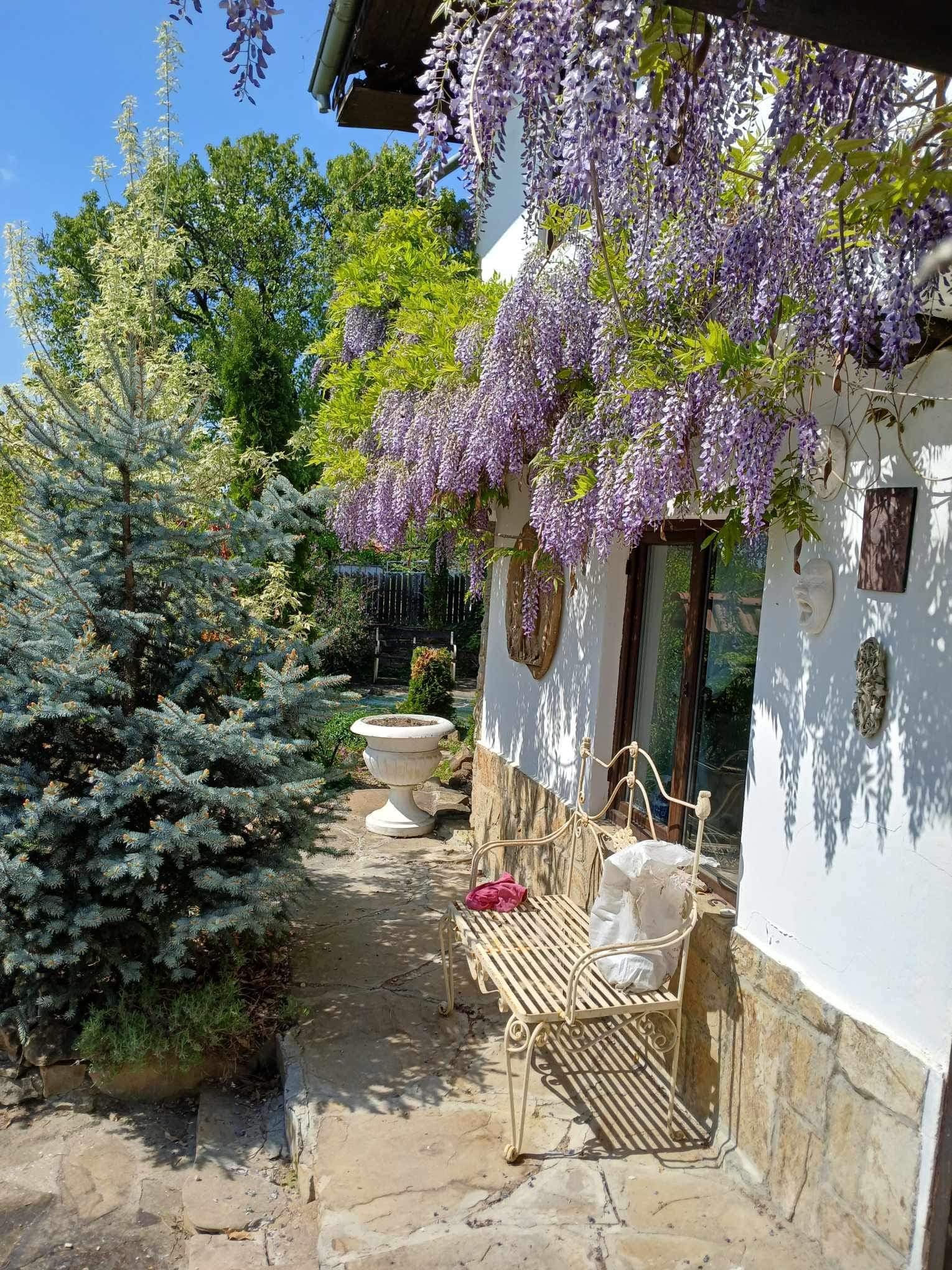 Peacock House – Bukovets V.T - thumbnail 19