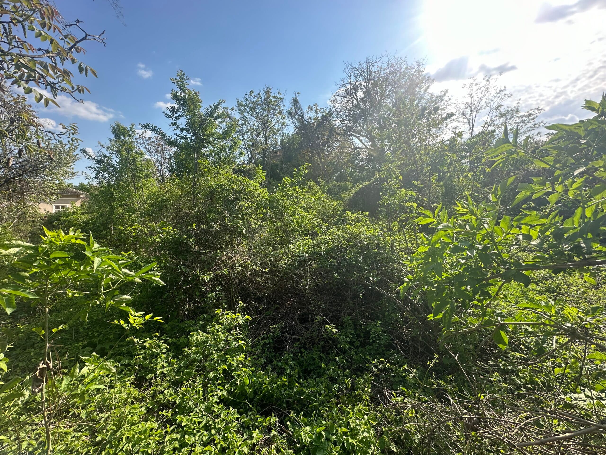 Florence House – Voditsa - thumbnail 3