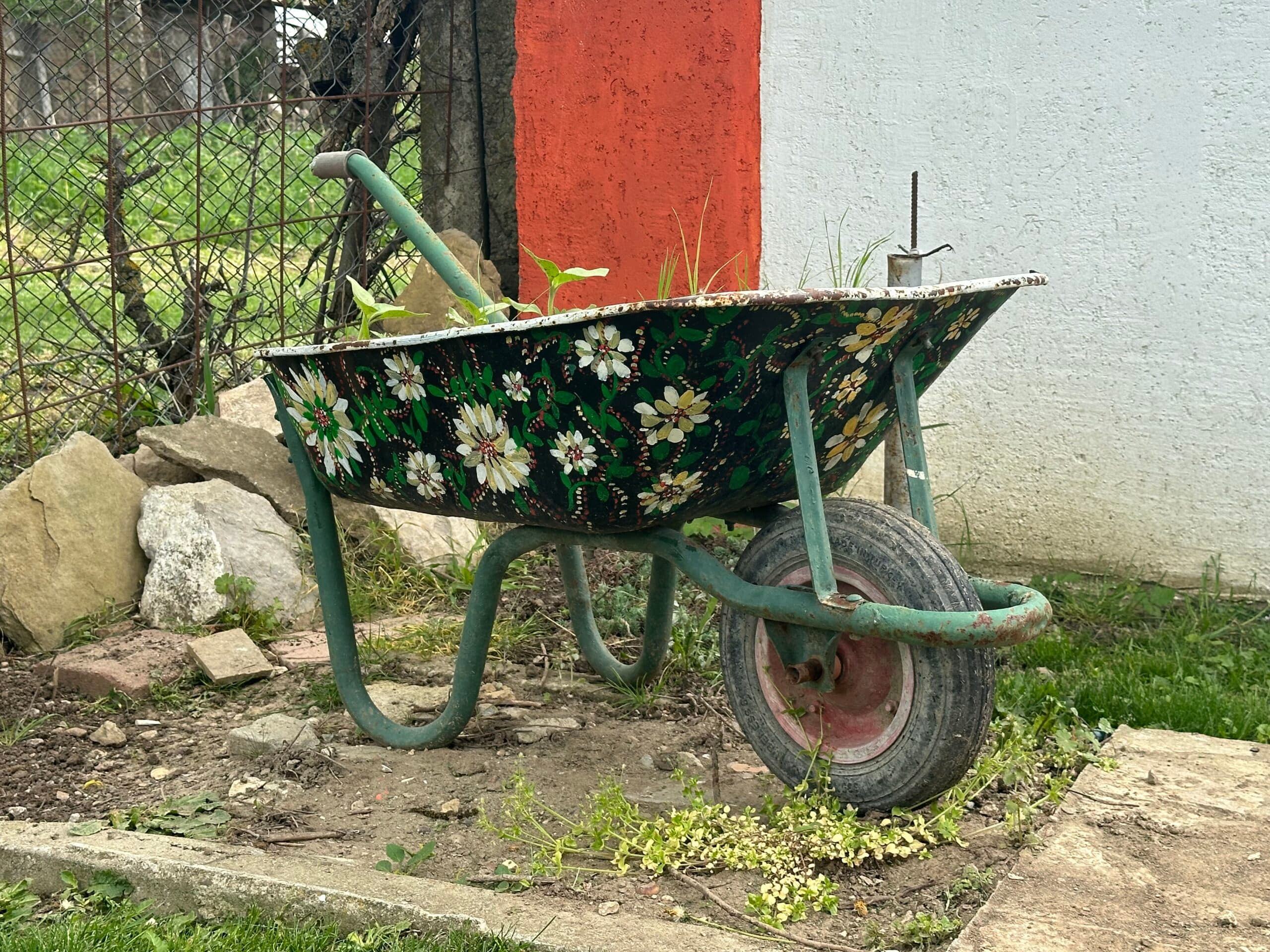 Honda Haven – Tsvetnitsa - thumbnail 8