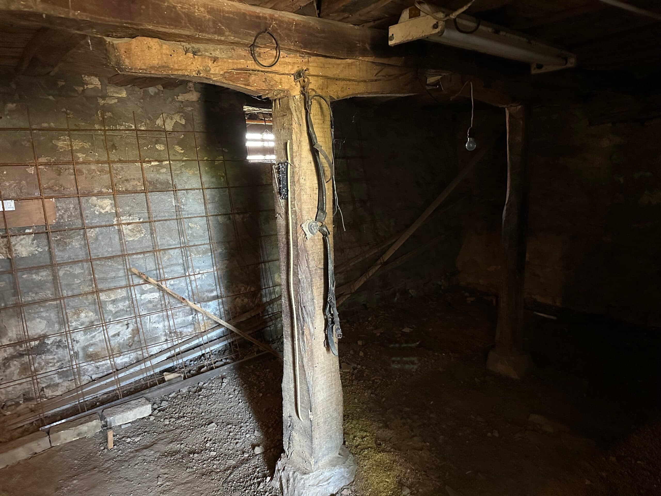 Pear House – Tsar Asen