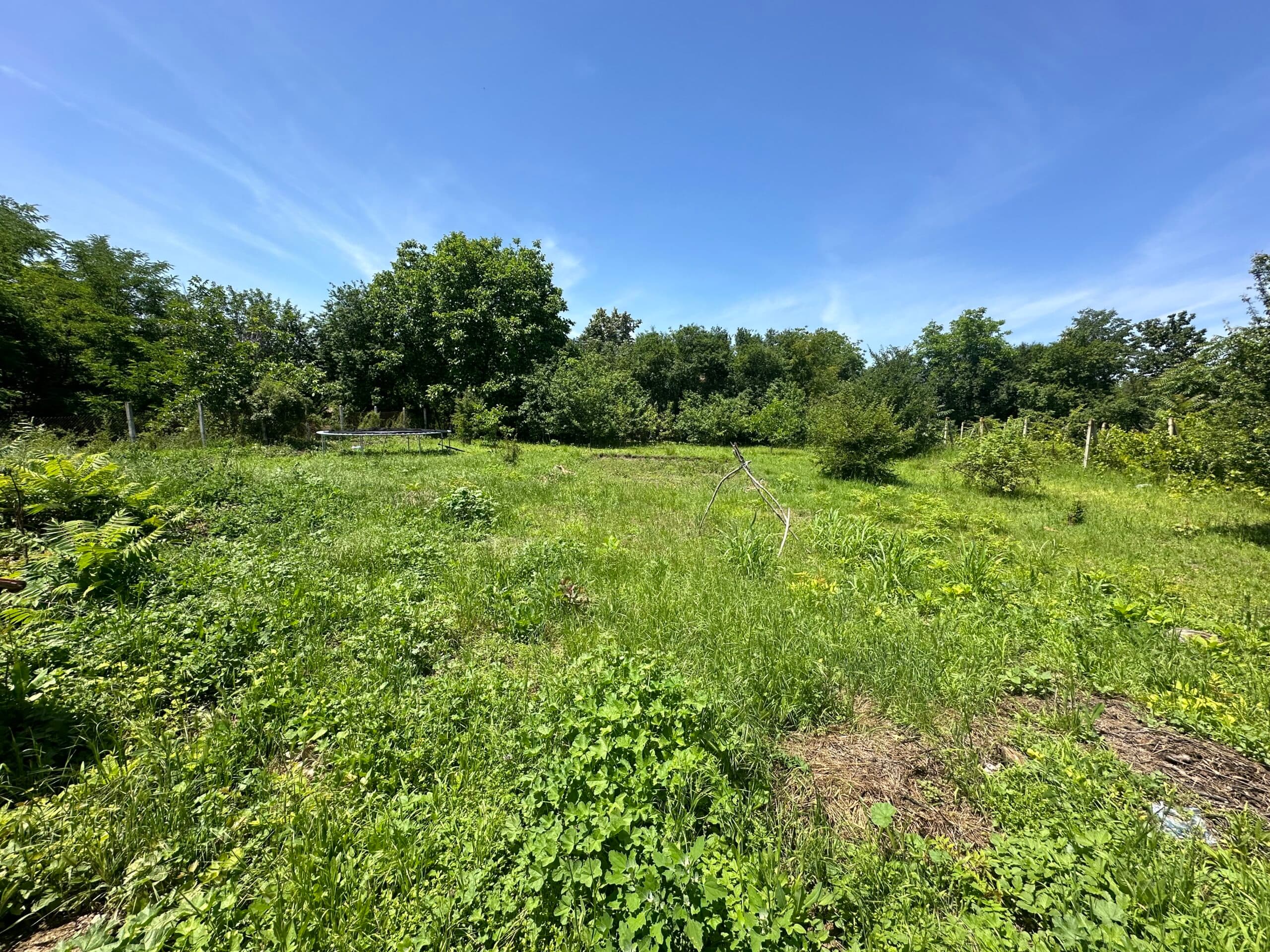 Willow House – Maslarevo - thumbnail 4