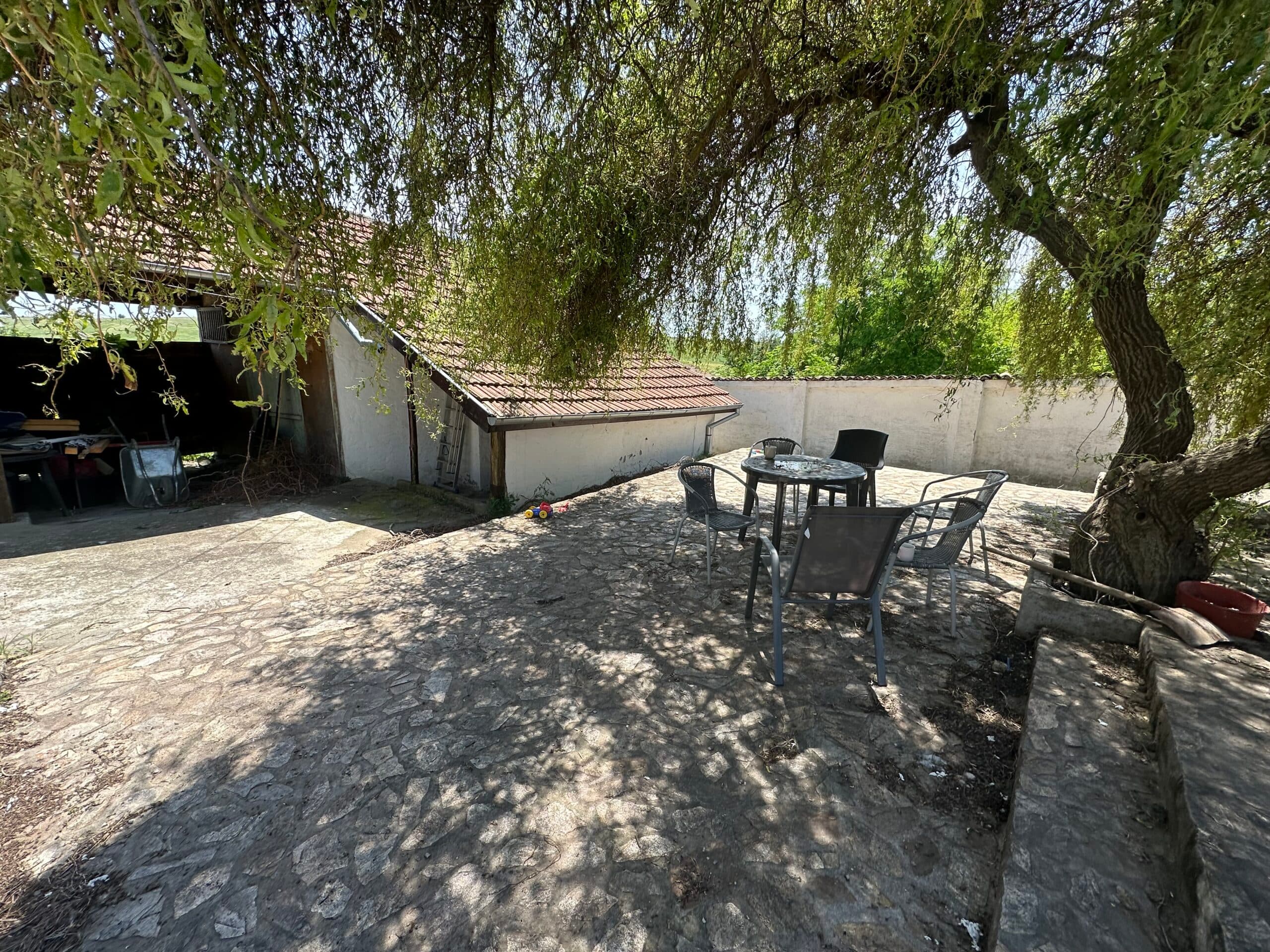 Willow House – Maslarevo - thumbnail 2