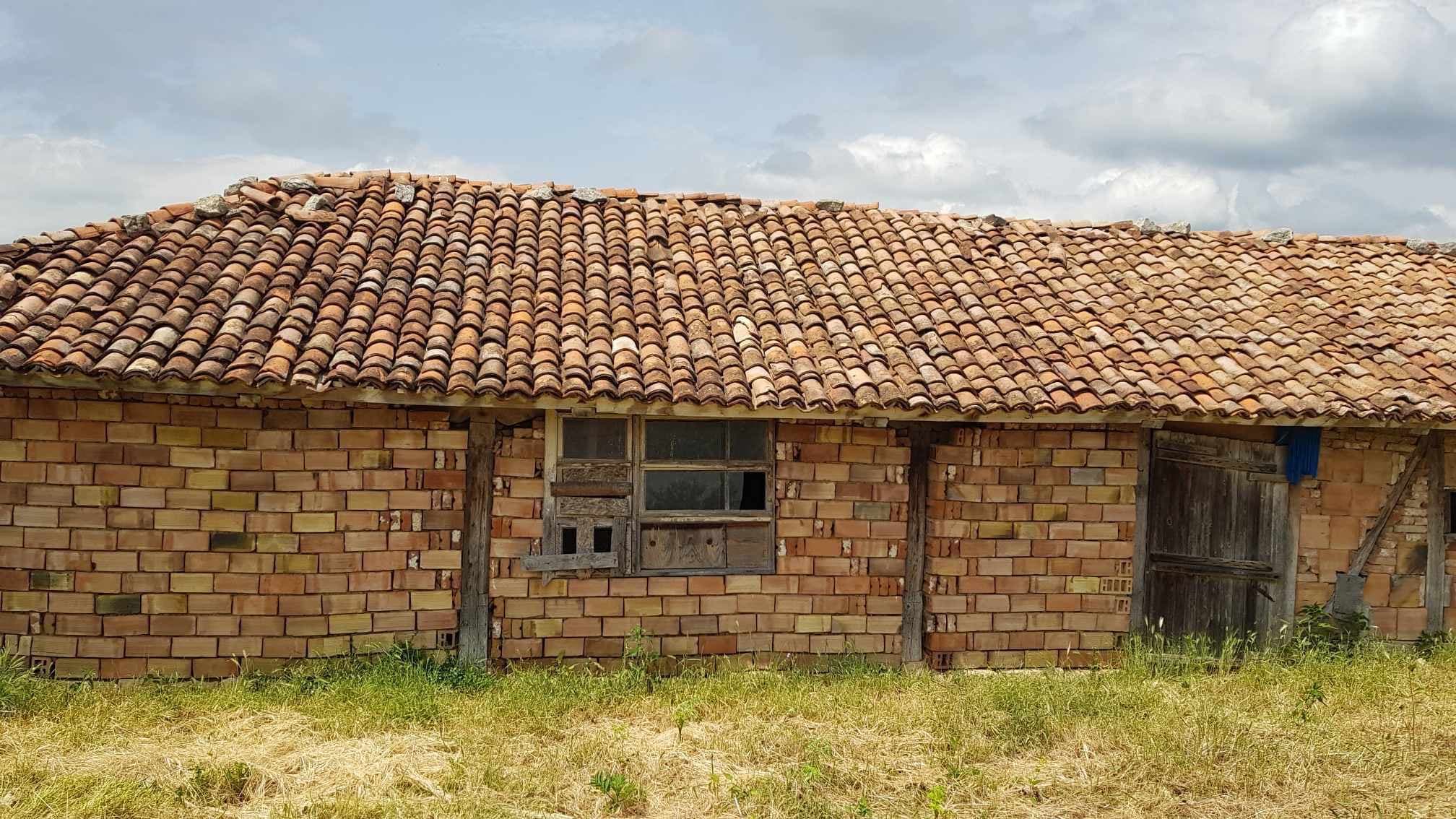 Simplicity Meadows – Omacharevo - thumbnail 2