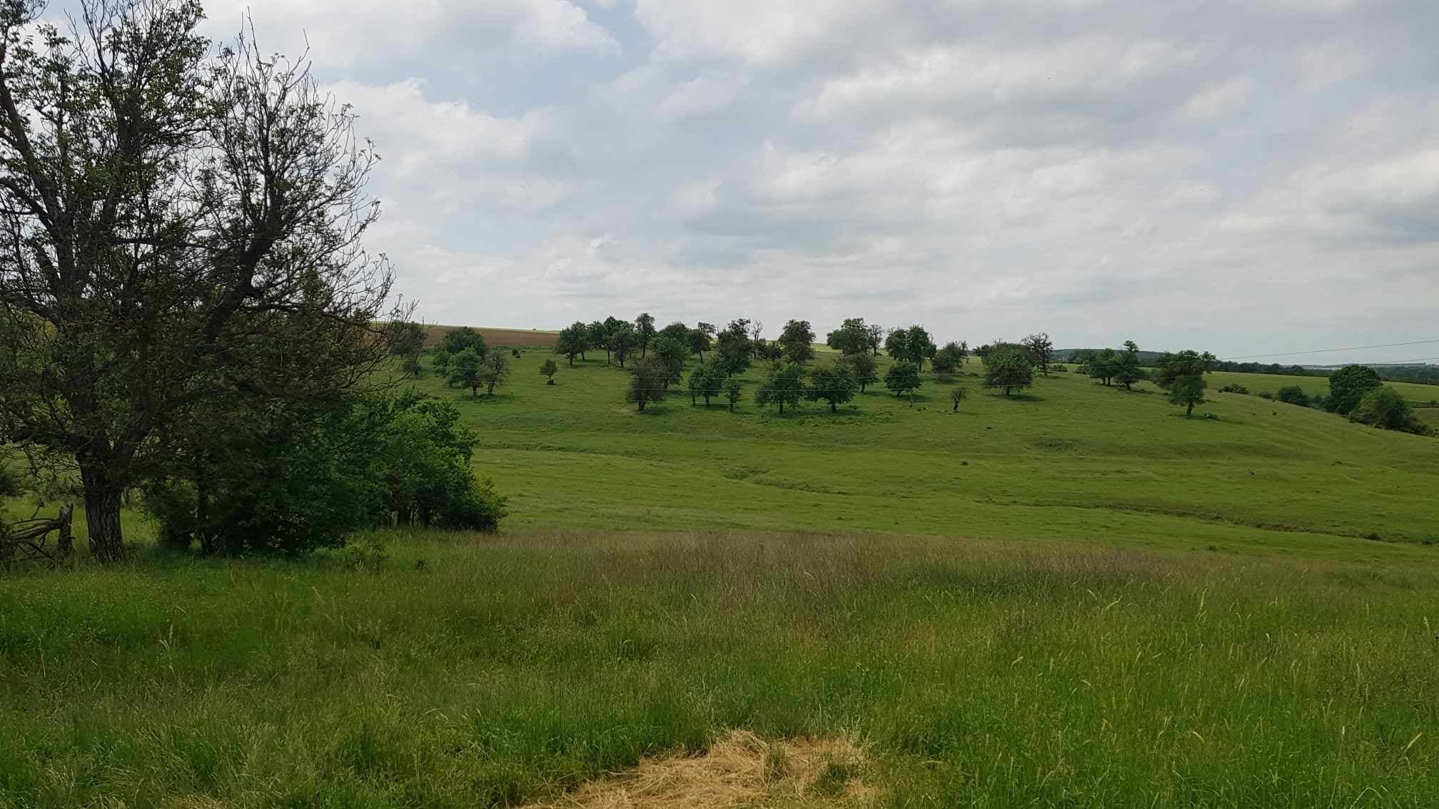 Simplicity Meadows – Omacharevo