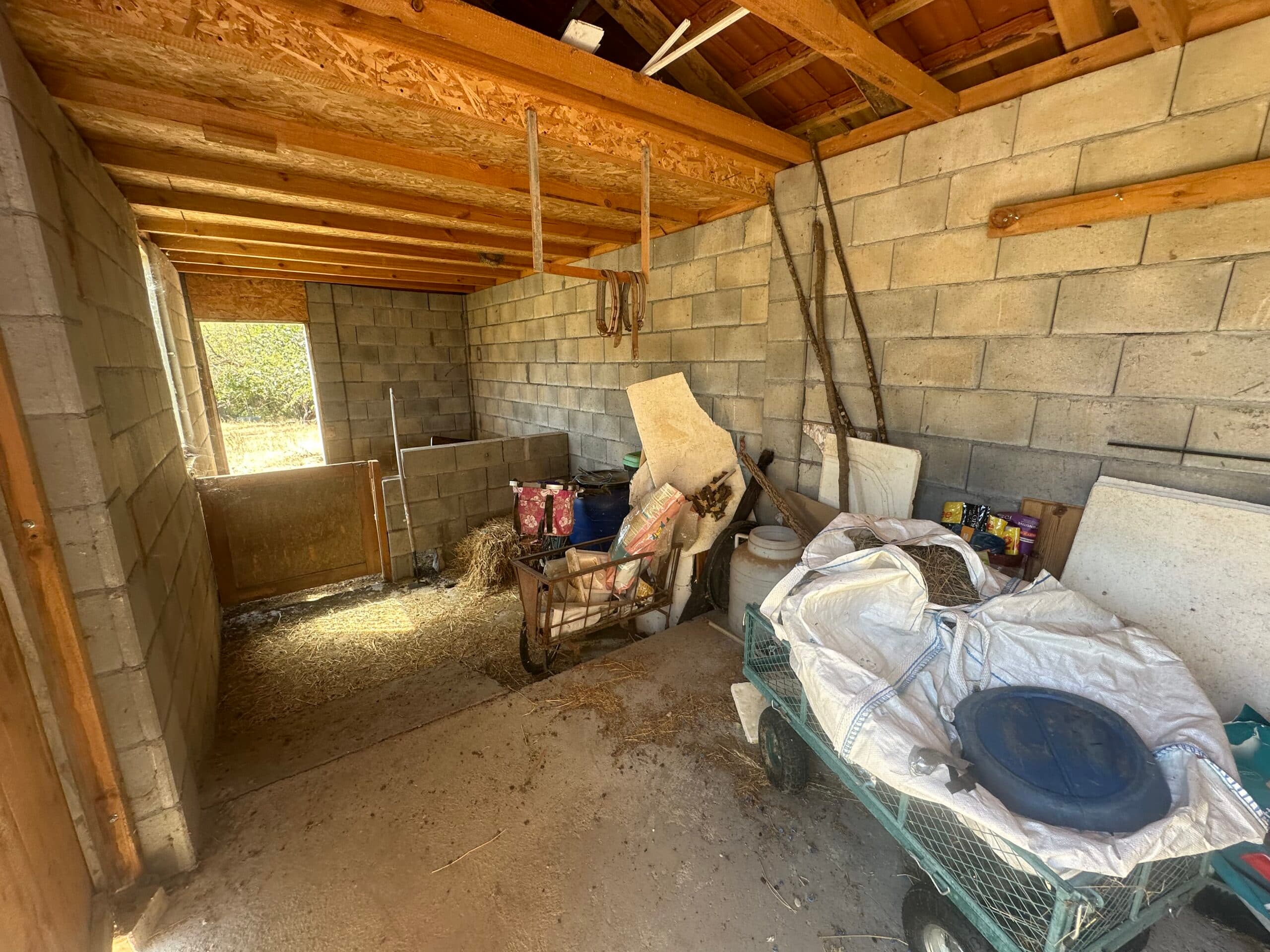 Sprockets Corner – Bryagovitsa - thumbnail 11