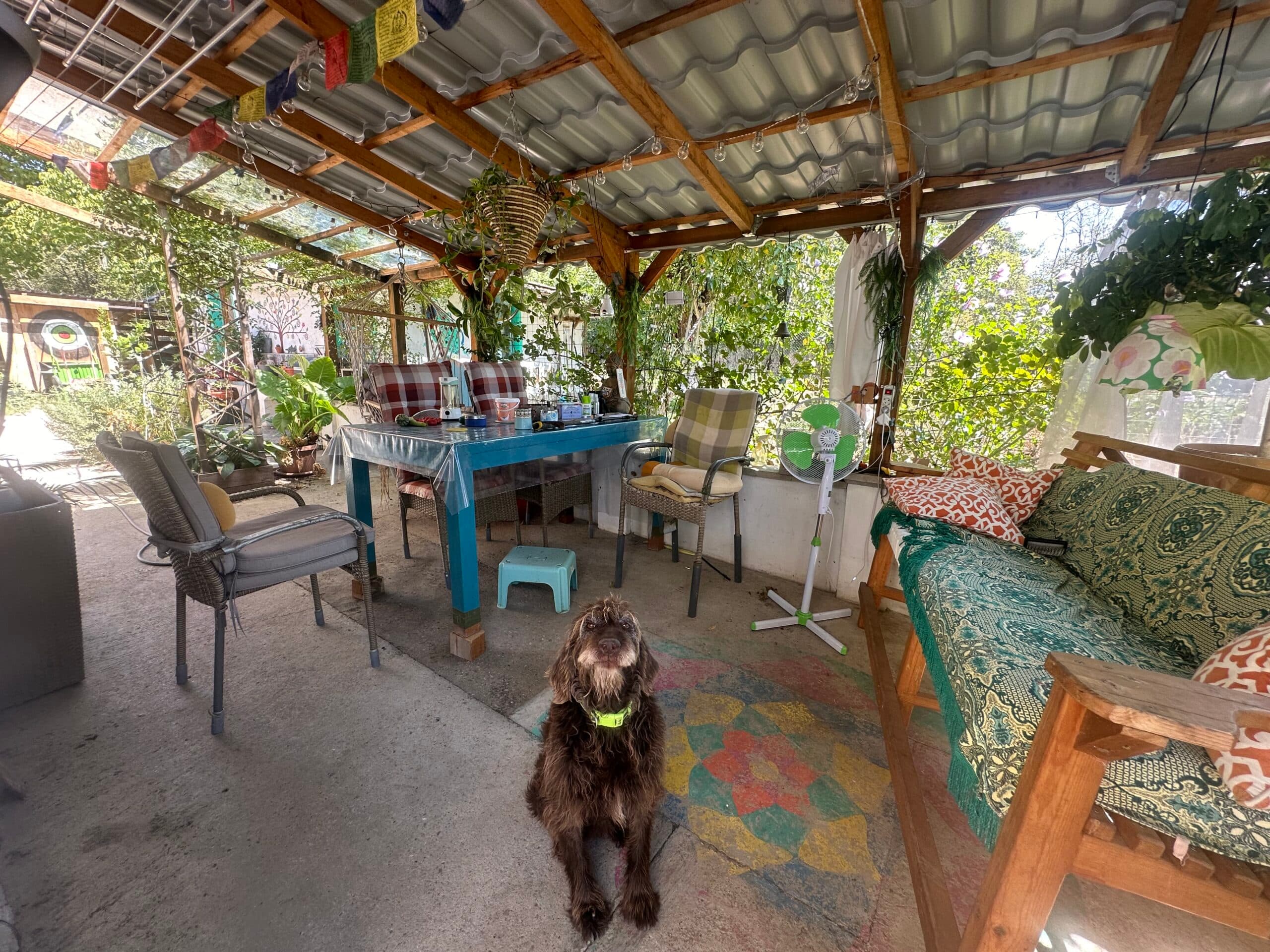 Sprockets Corner – Bryagovitsa - thumbnail 7