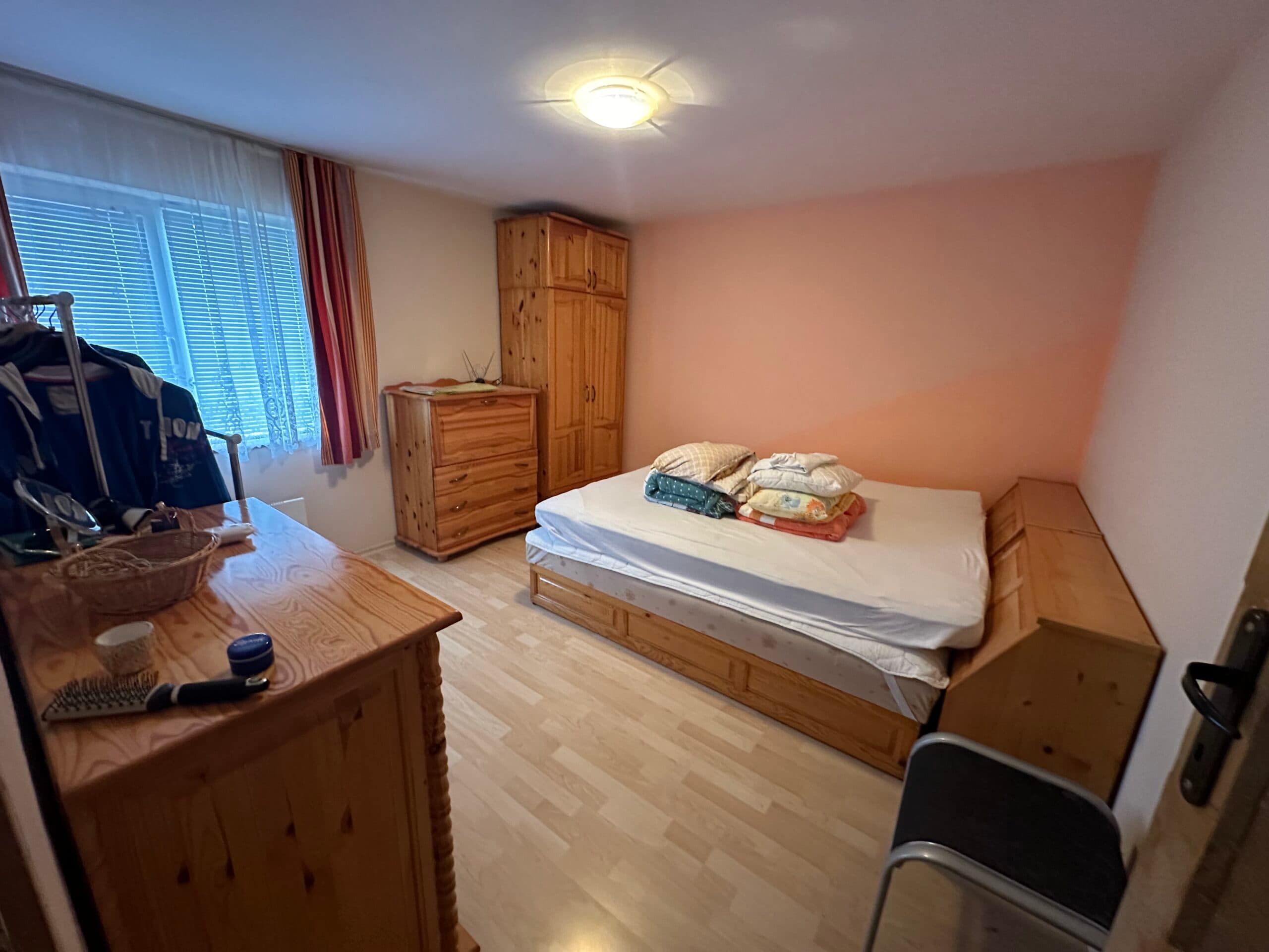 Palm House – Mogilino - thumbnail 5