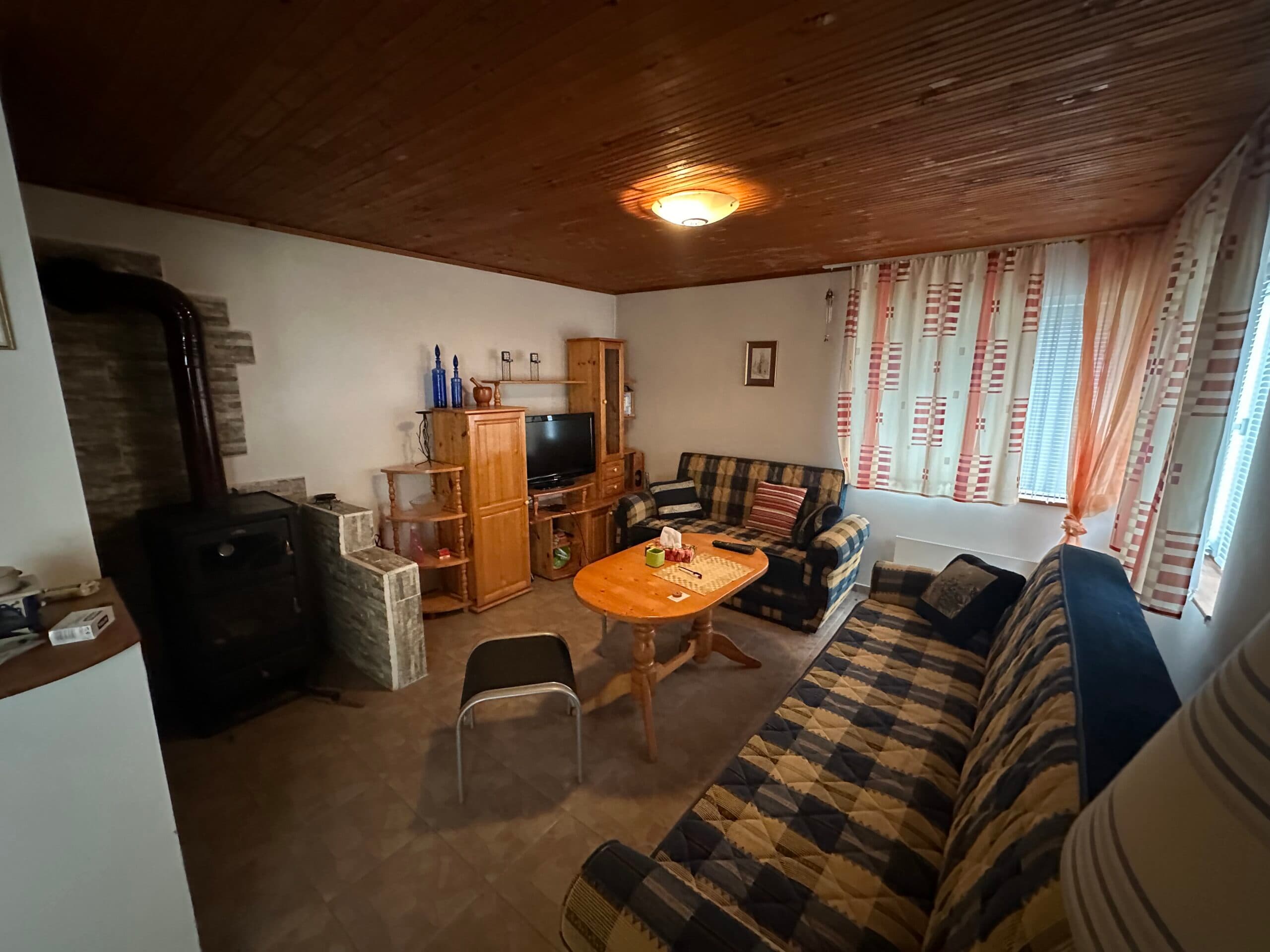 Palm House – Mogilino - thumbnail 7