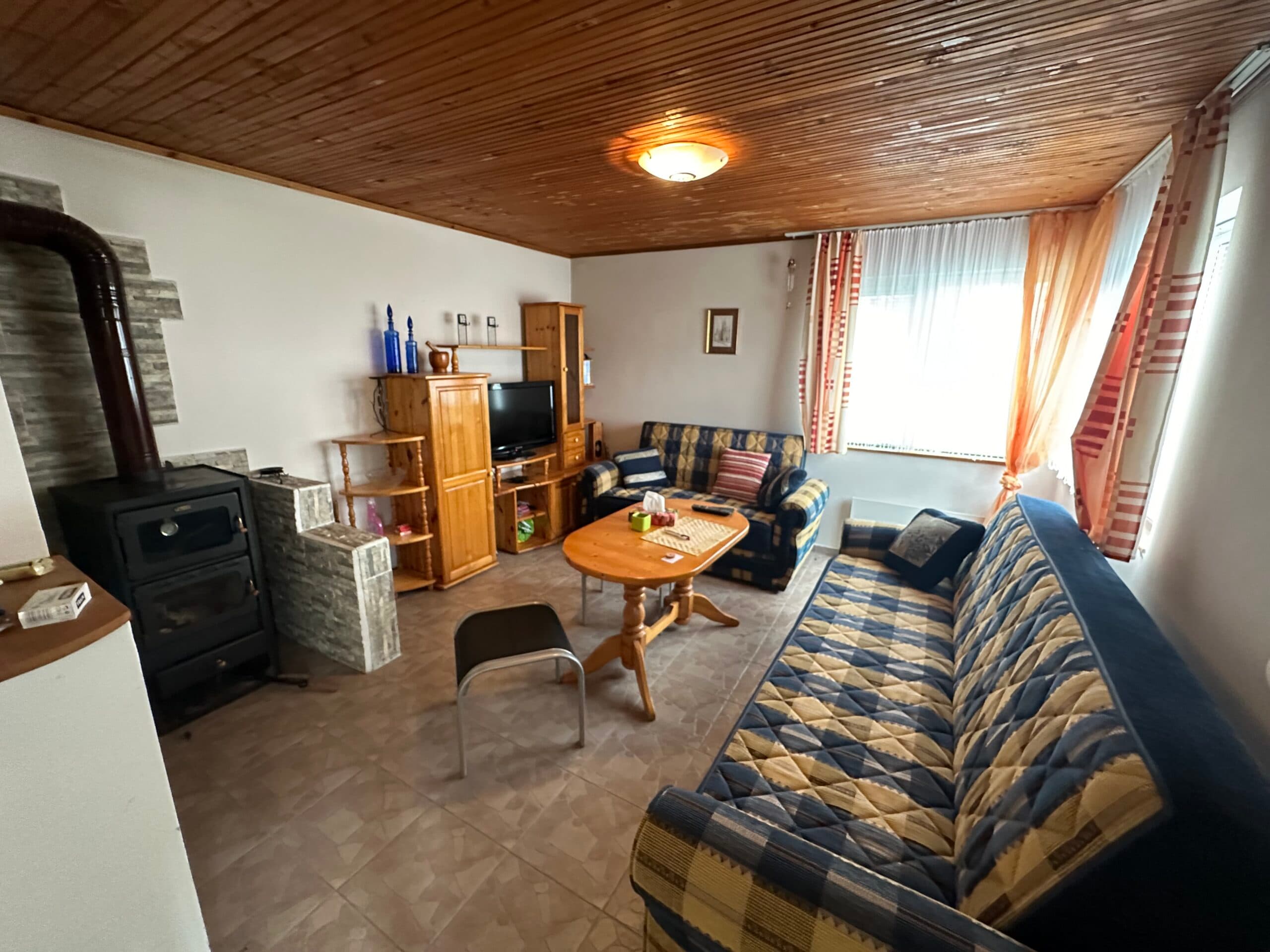 Palm House – Mogilino - thumbnail 8