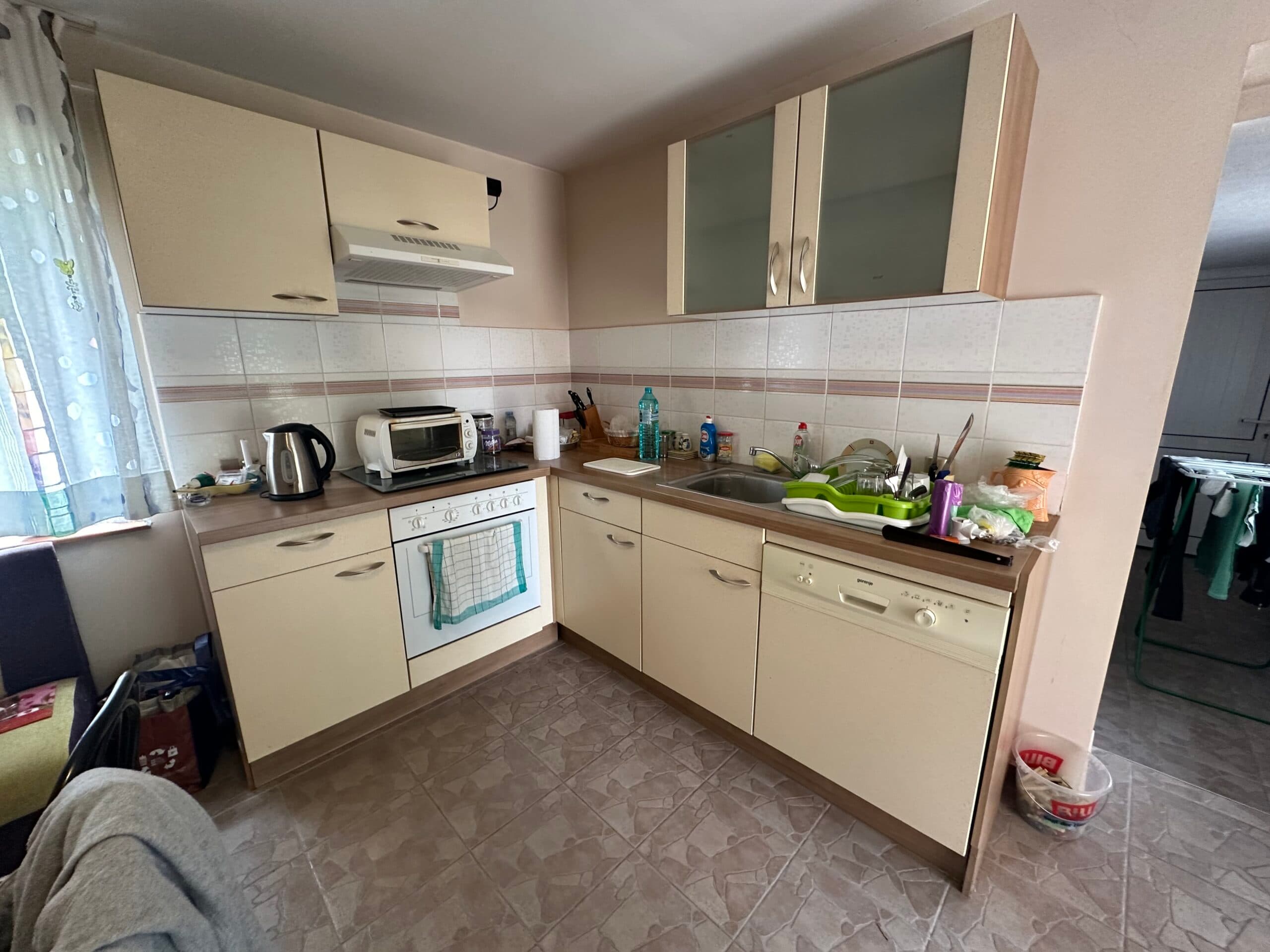 Palm House – Mogilino - thumbnail 4