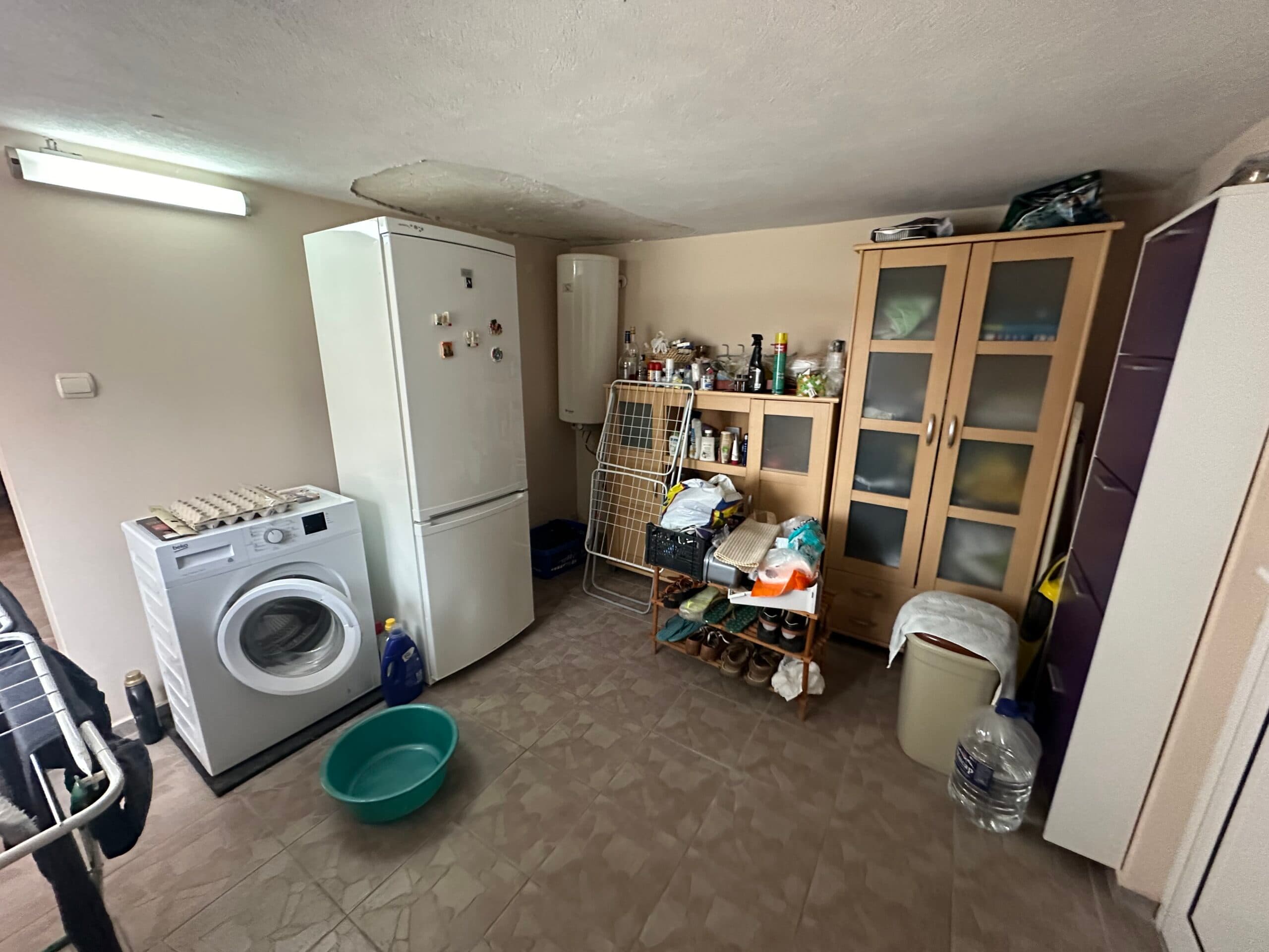 Palm House – Mogilino - thumbnail 13