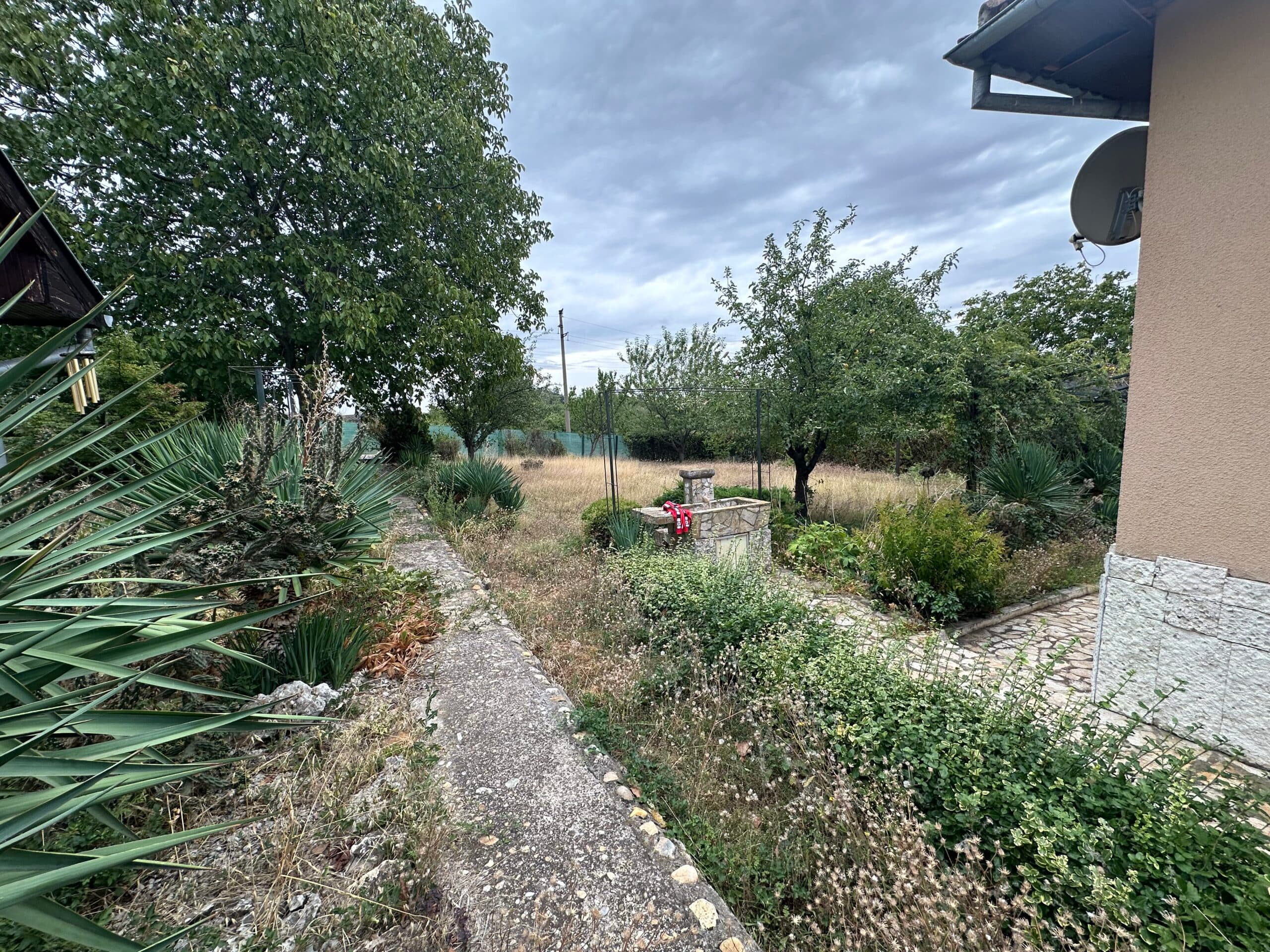 Palm House – Mogilino - thumbnail 14