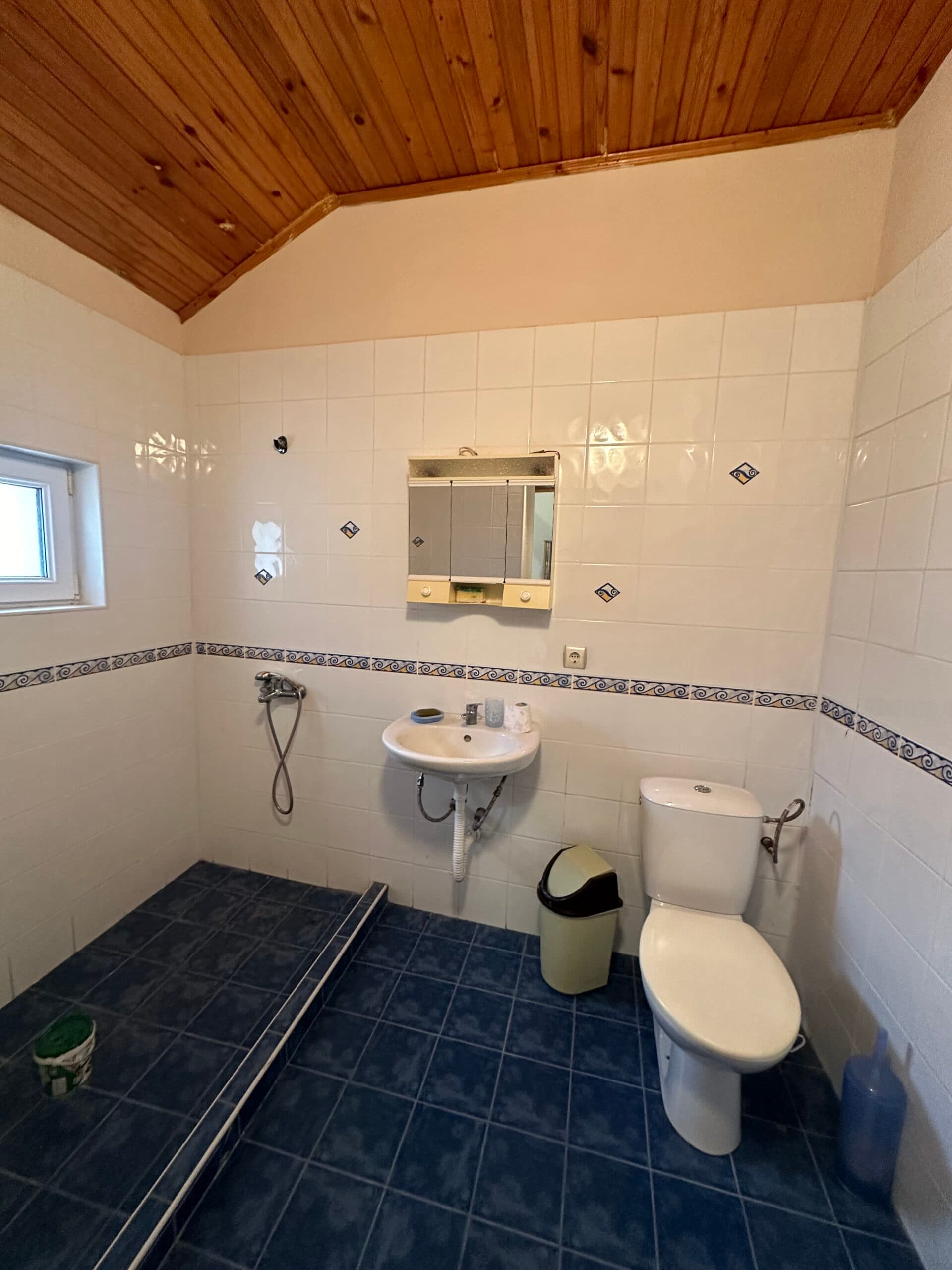 Palm House – Mogilino - thumbnail 17