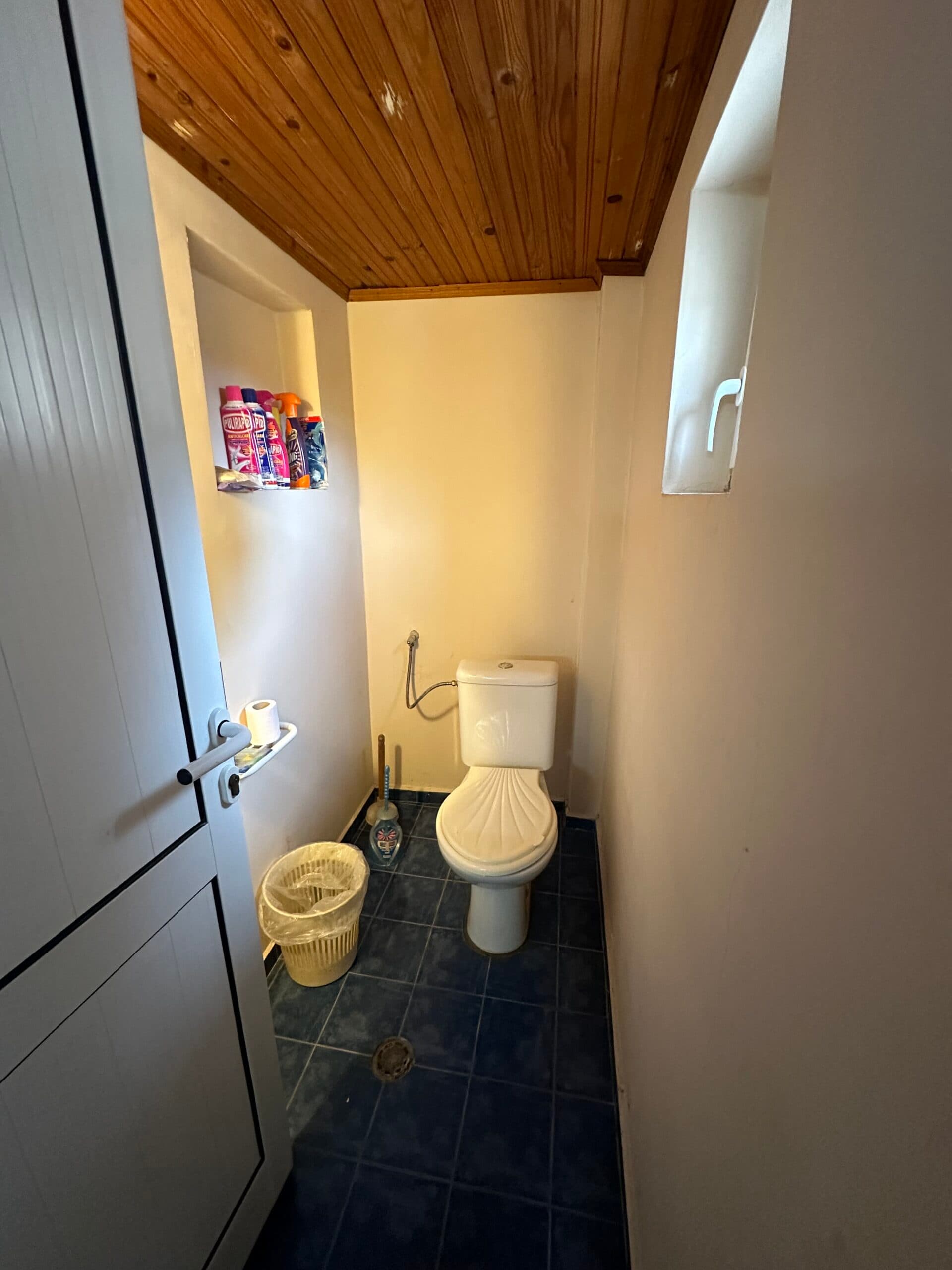 Palm House – Mogilino - thumbnail 18