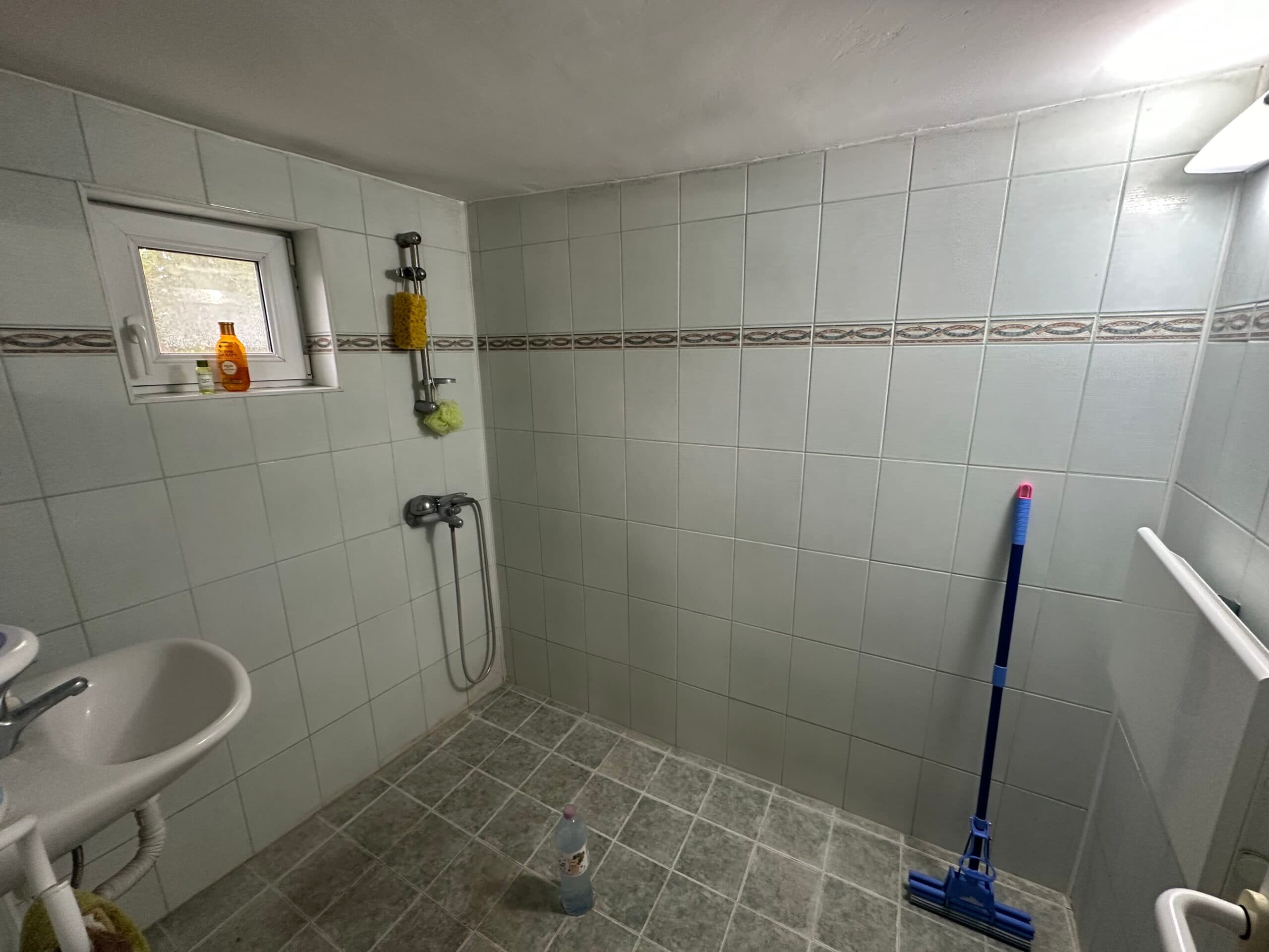 Palm House – Mogilino - thumbnail 19