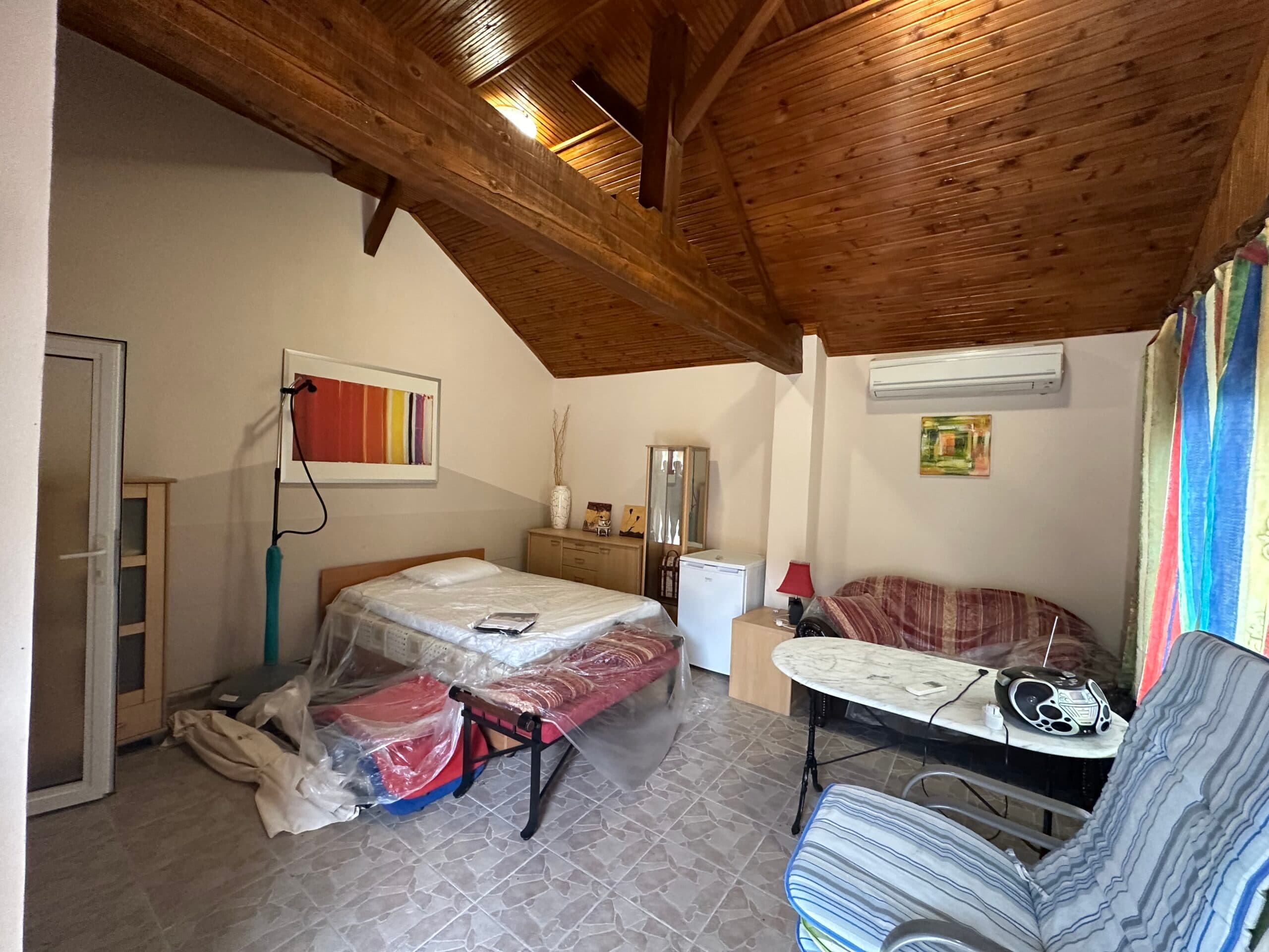 Palm House – Mogilino - thumbnail 3