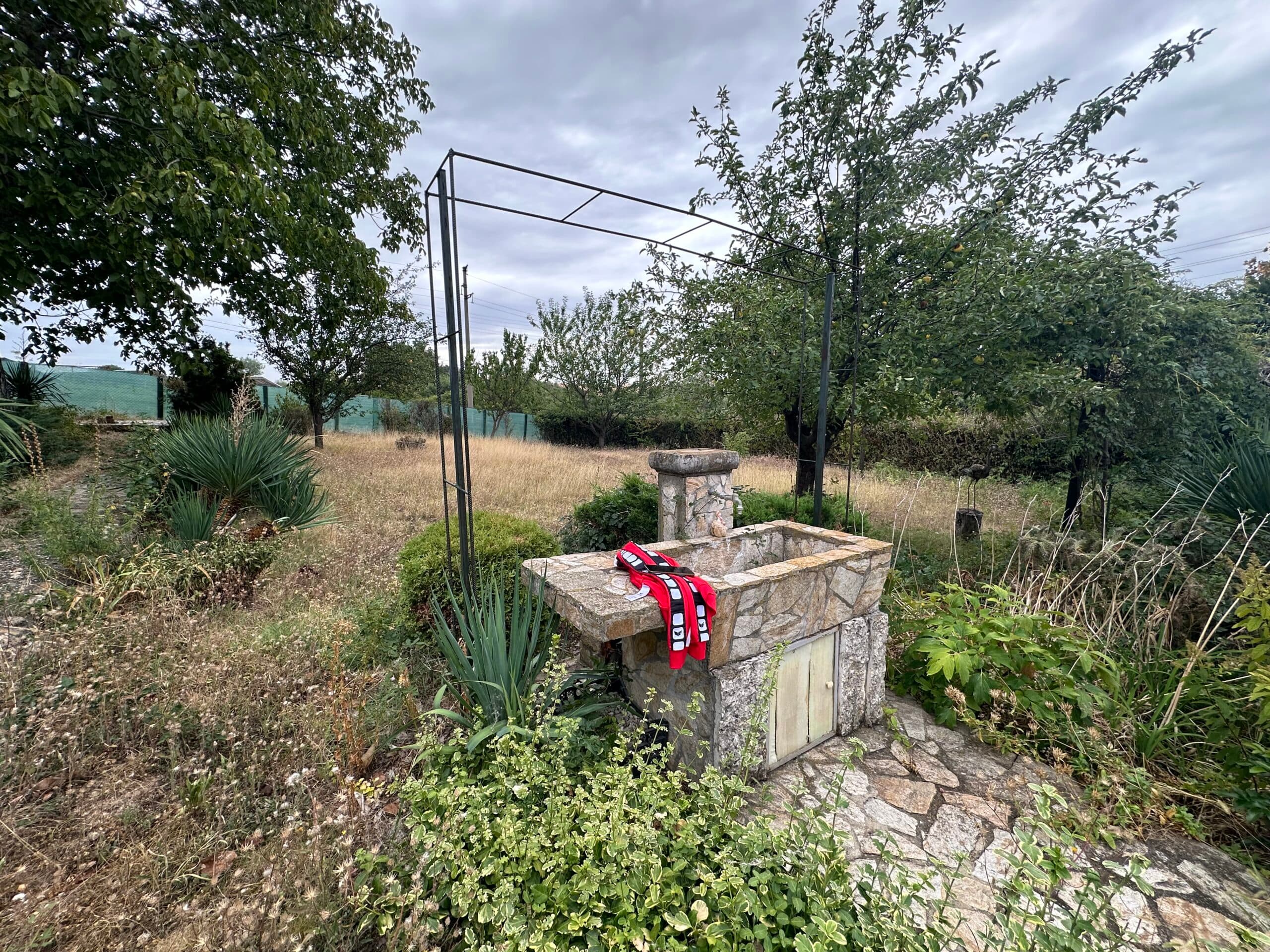 Palm House – Mogilino - thumbnail 20