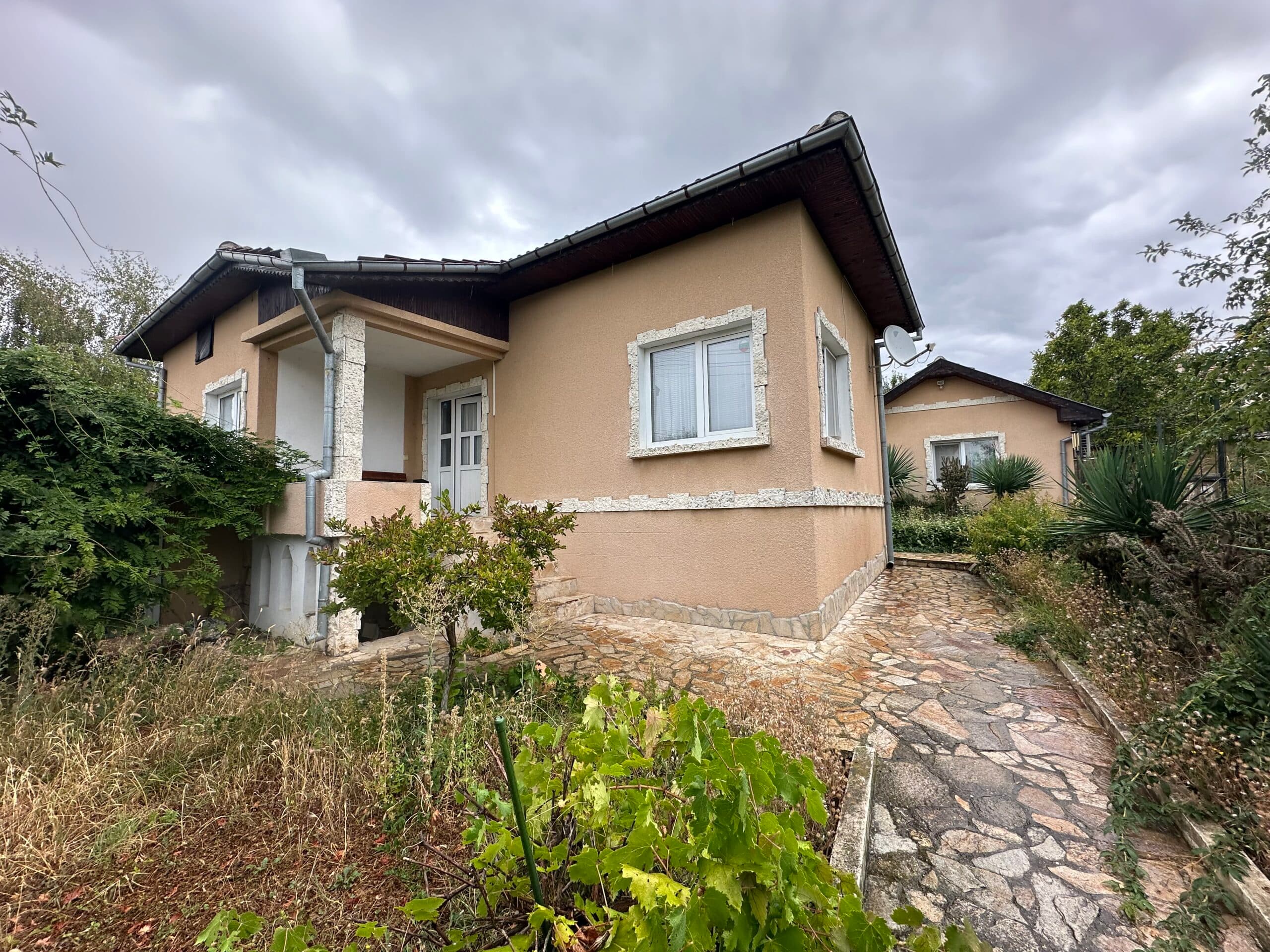 Palm House – Mogilino