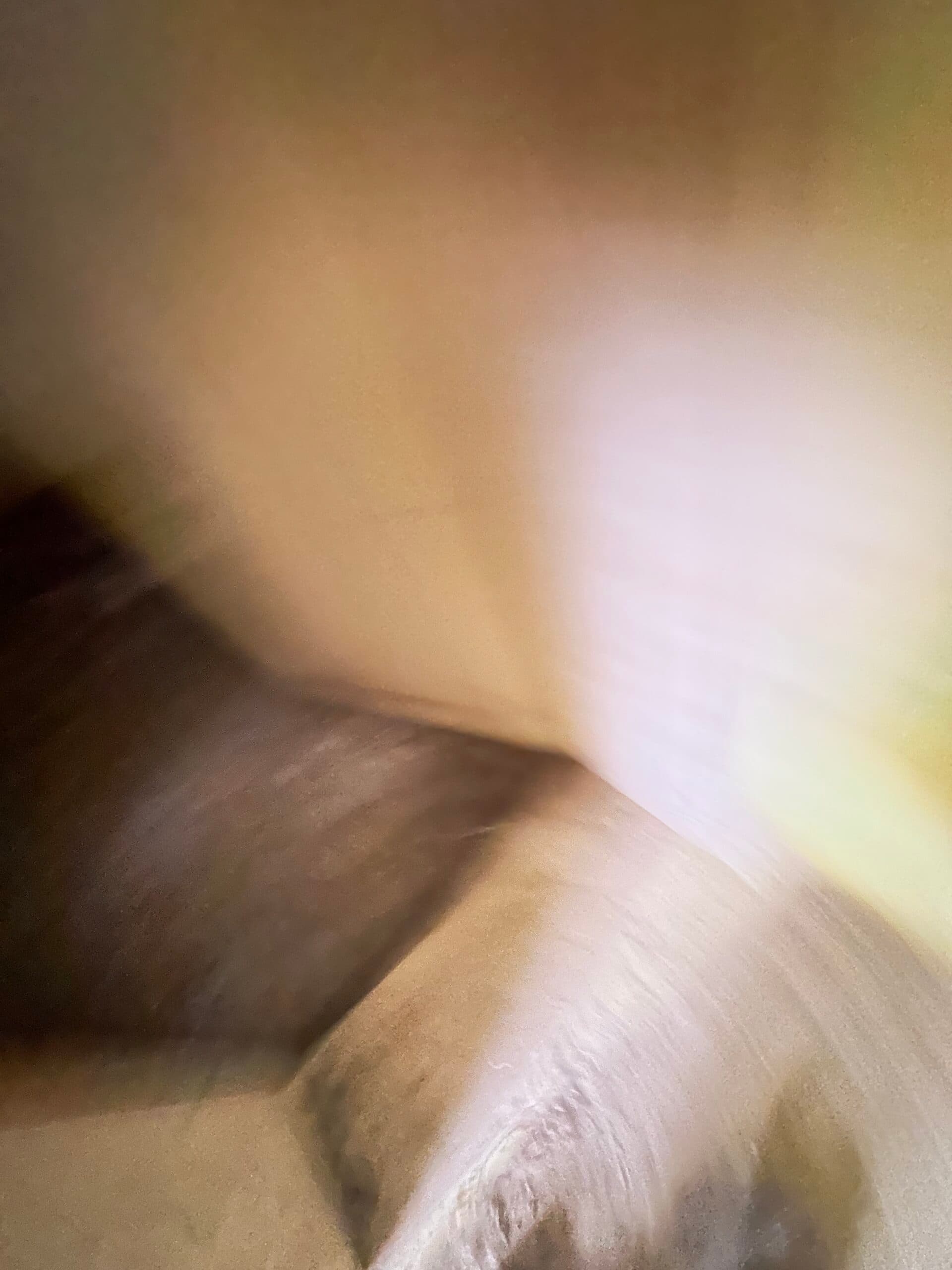 Hazelnut House – Mogilino - thumbnail 9