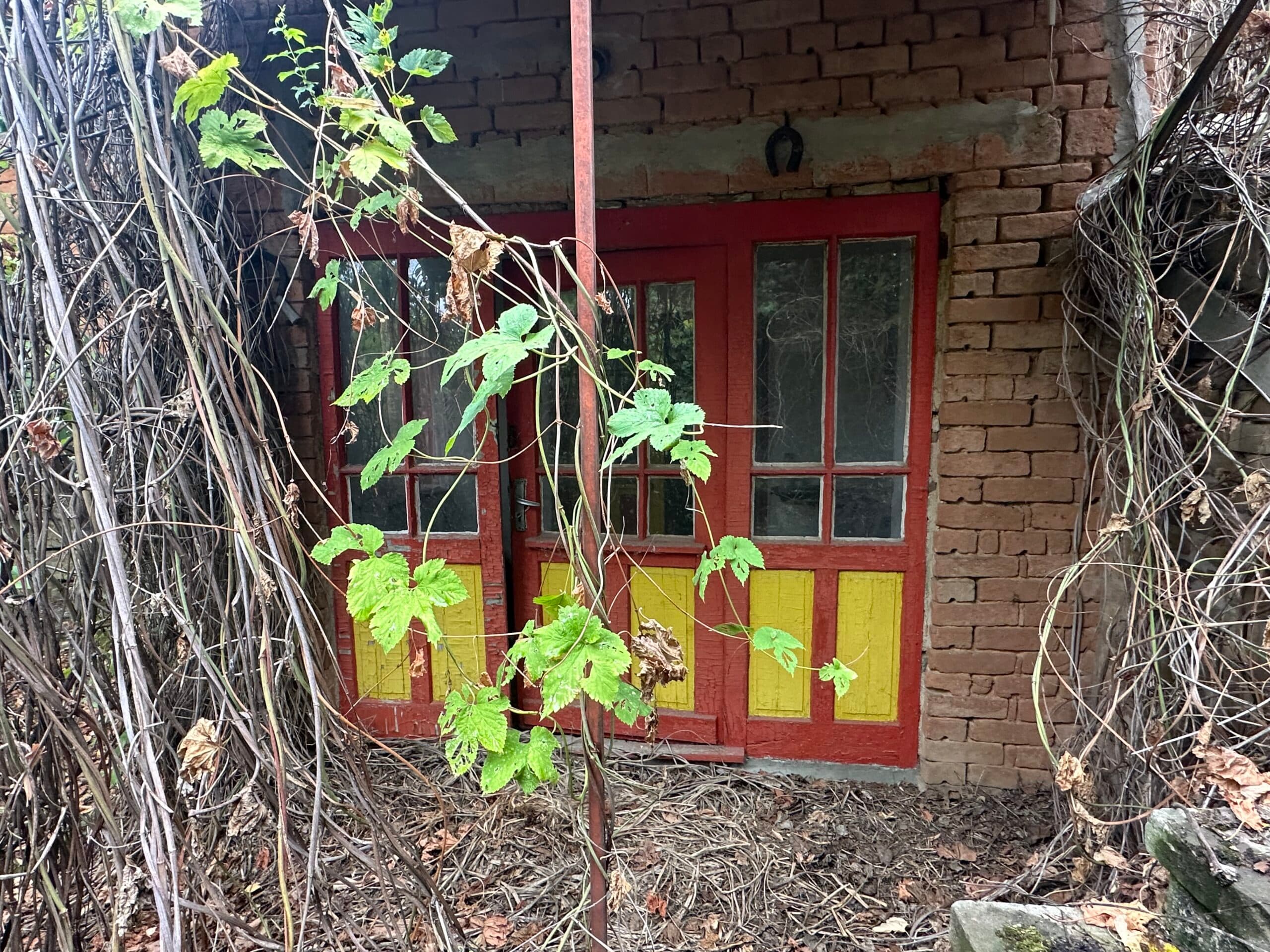 Tiddy House – Tsar Asen - thumbnail 4