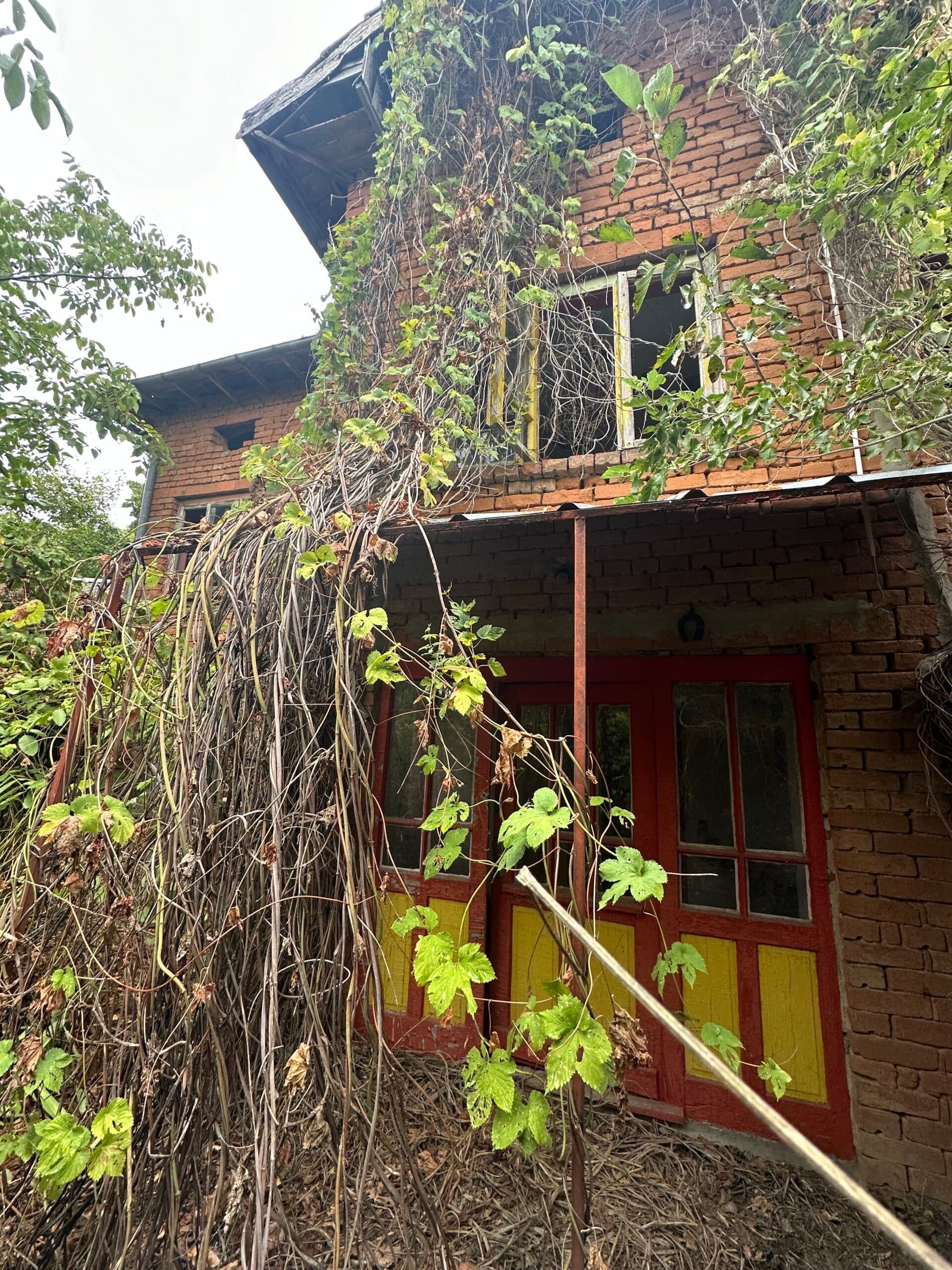 Tiddy House – Tsar Asen - thumbnail 5