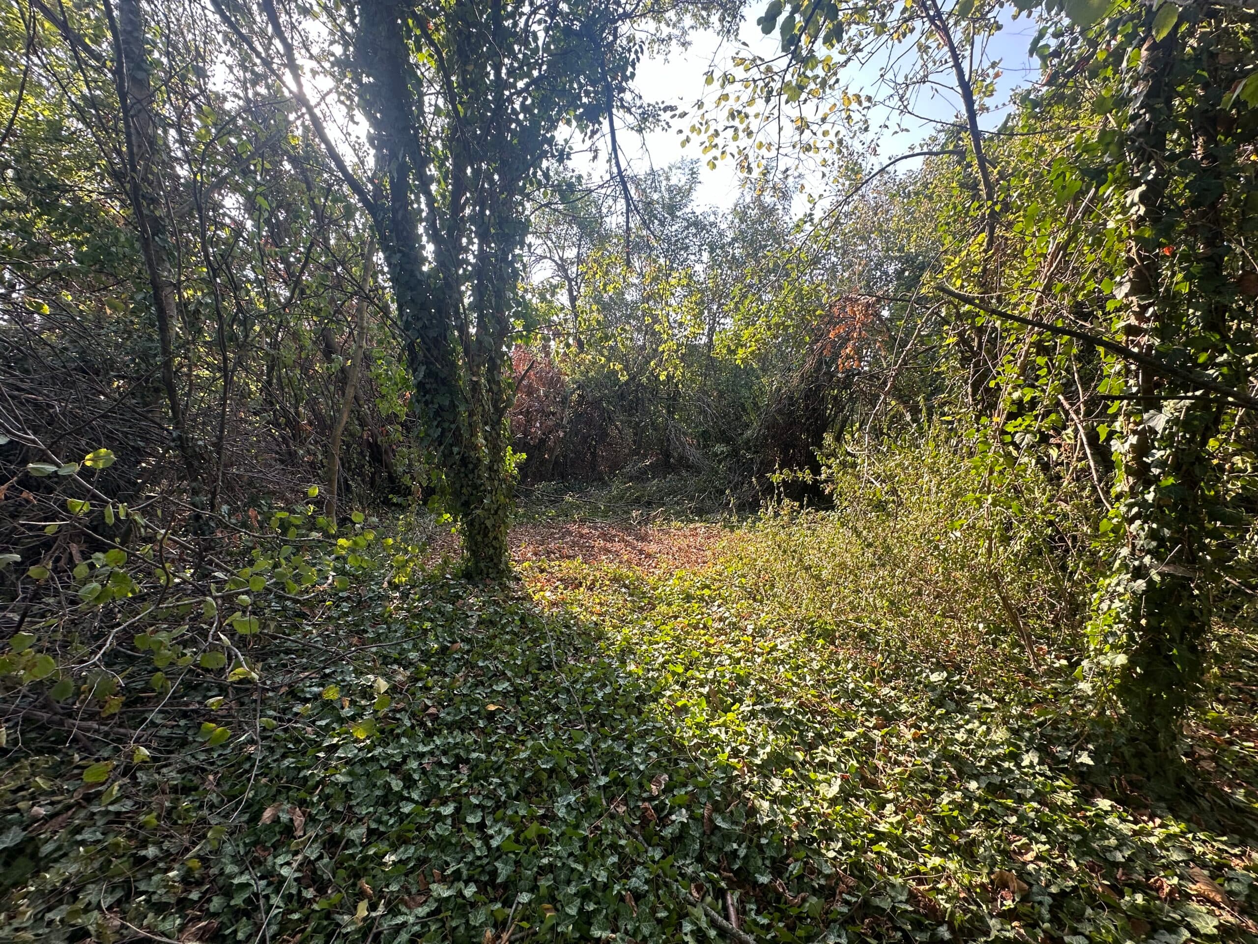 Upper House – Palamartsa