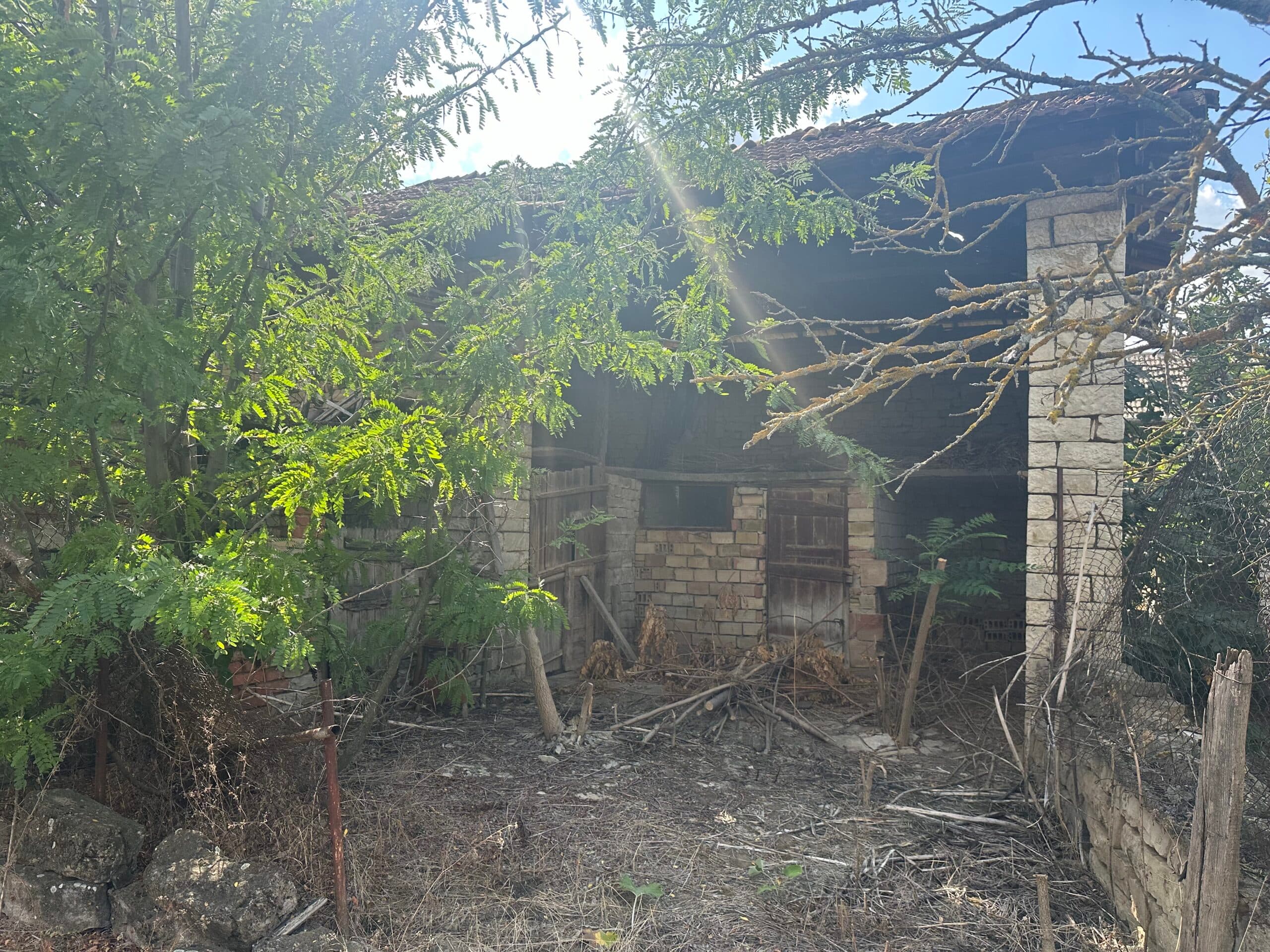 Artists House – Polski Senovets - thumbnail 9