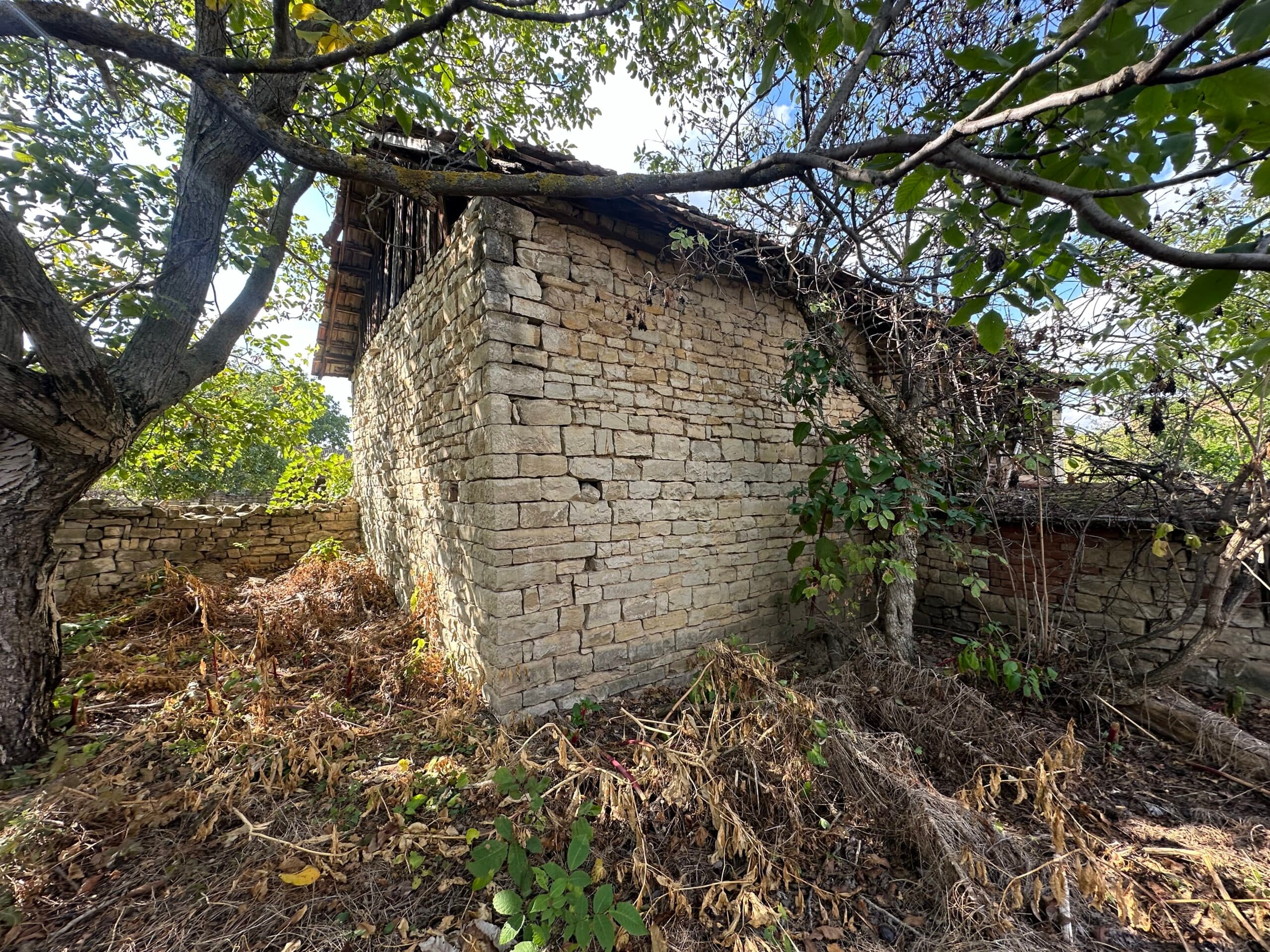 Artists House – Polski Senovets - thumbnail 11