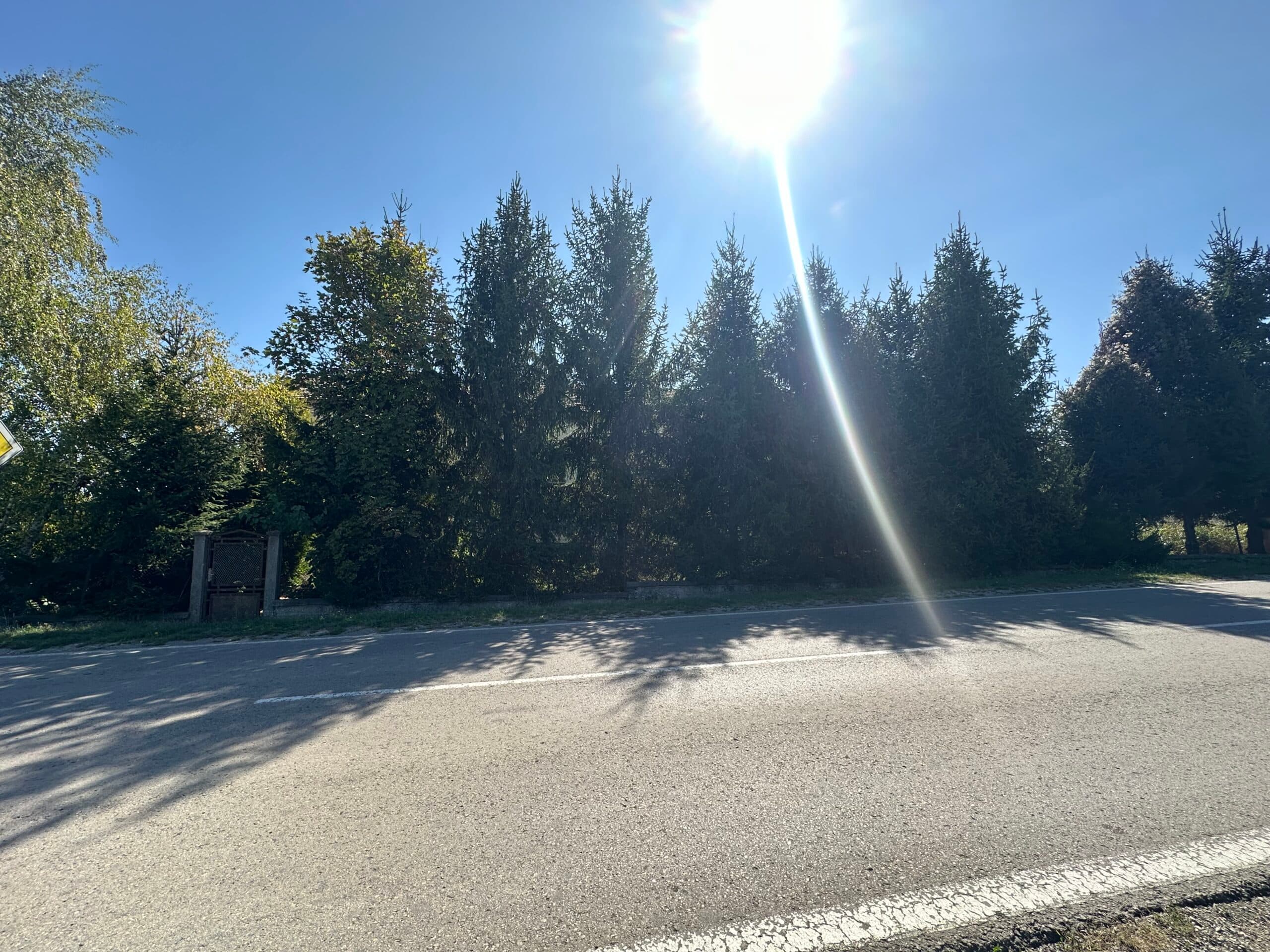 The House & Massive Warehouse - thumbnail 7