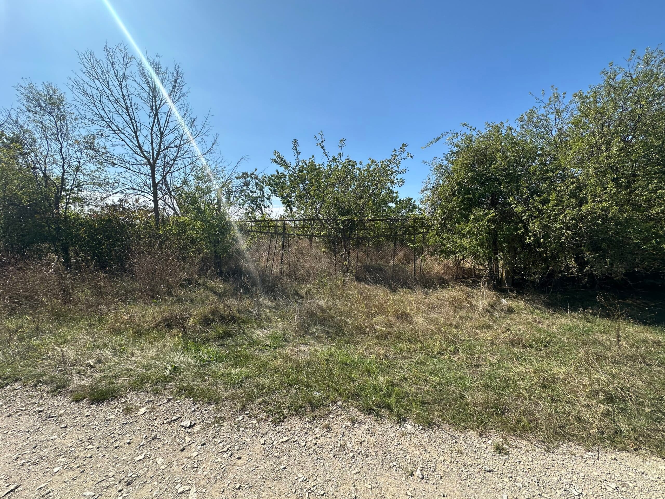 The House & Massive Warehouse - thumbnail 4