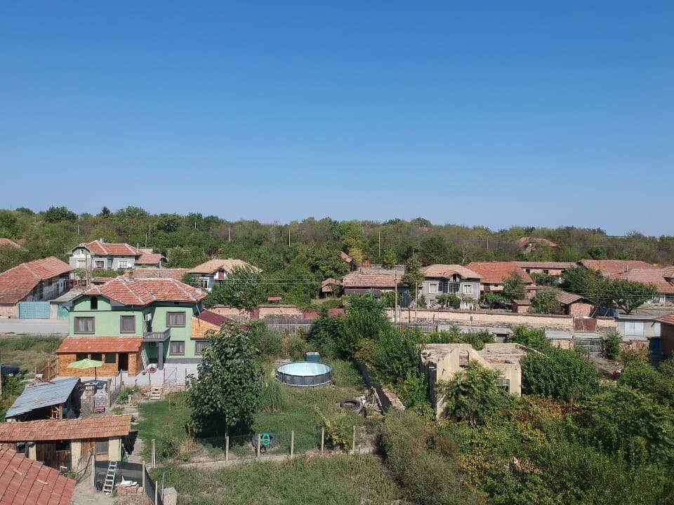 Avocado House – Slomer