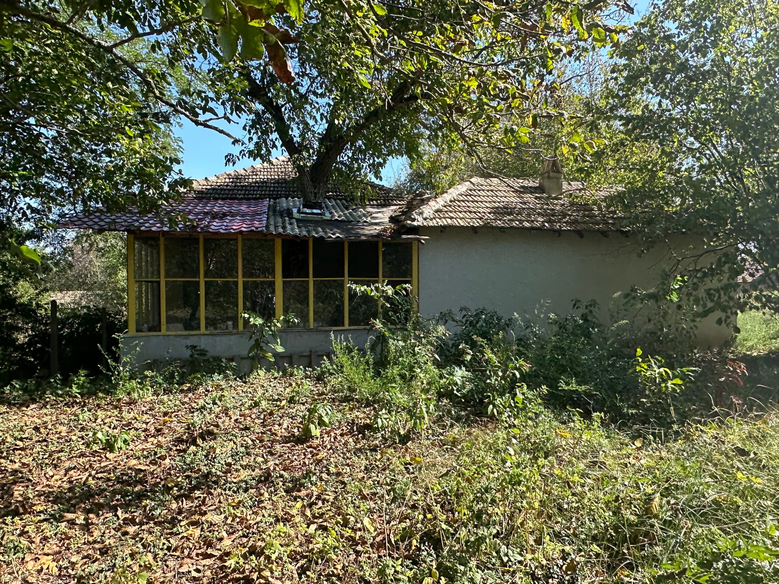 Smalltown Estate (4 Properties) Lomtsi - thumbnail 15