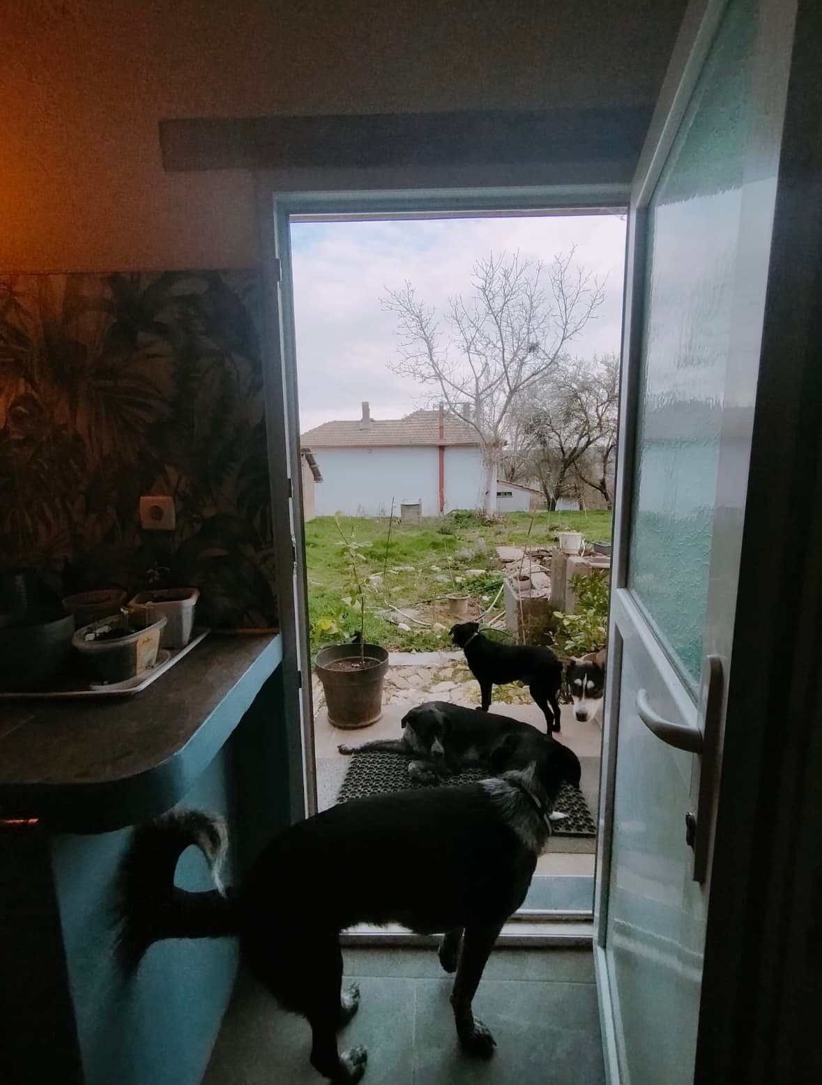 Zen House – Palamartsa - thumbnail 20