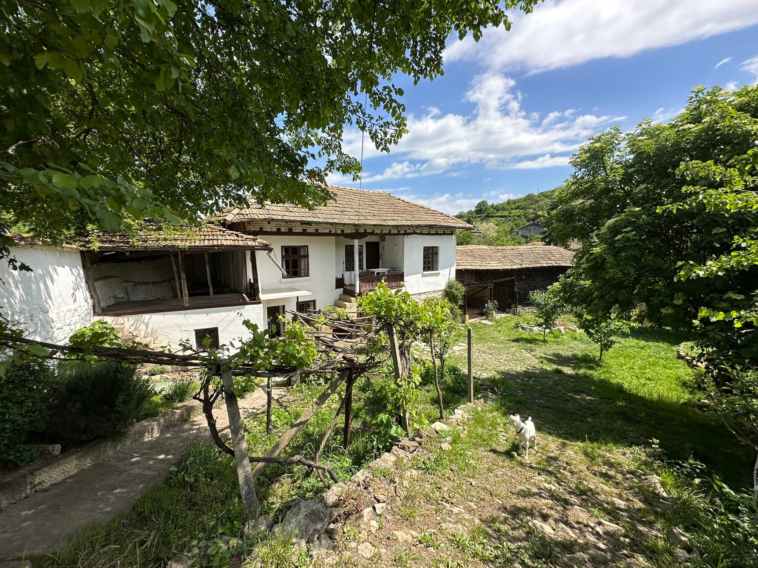 Raven Lodge – Opaka - thumbnail 5