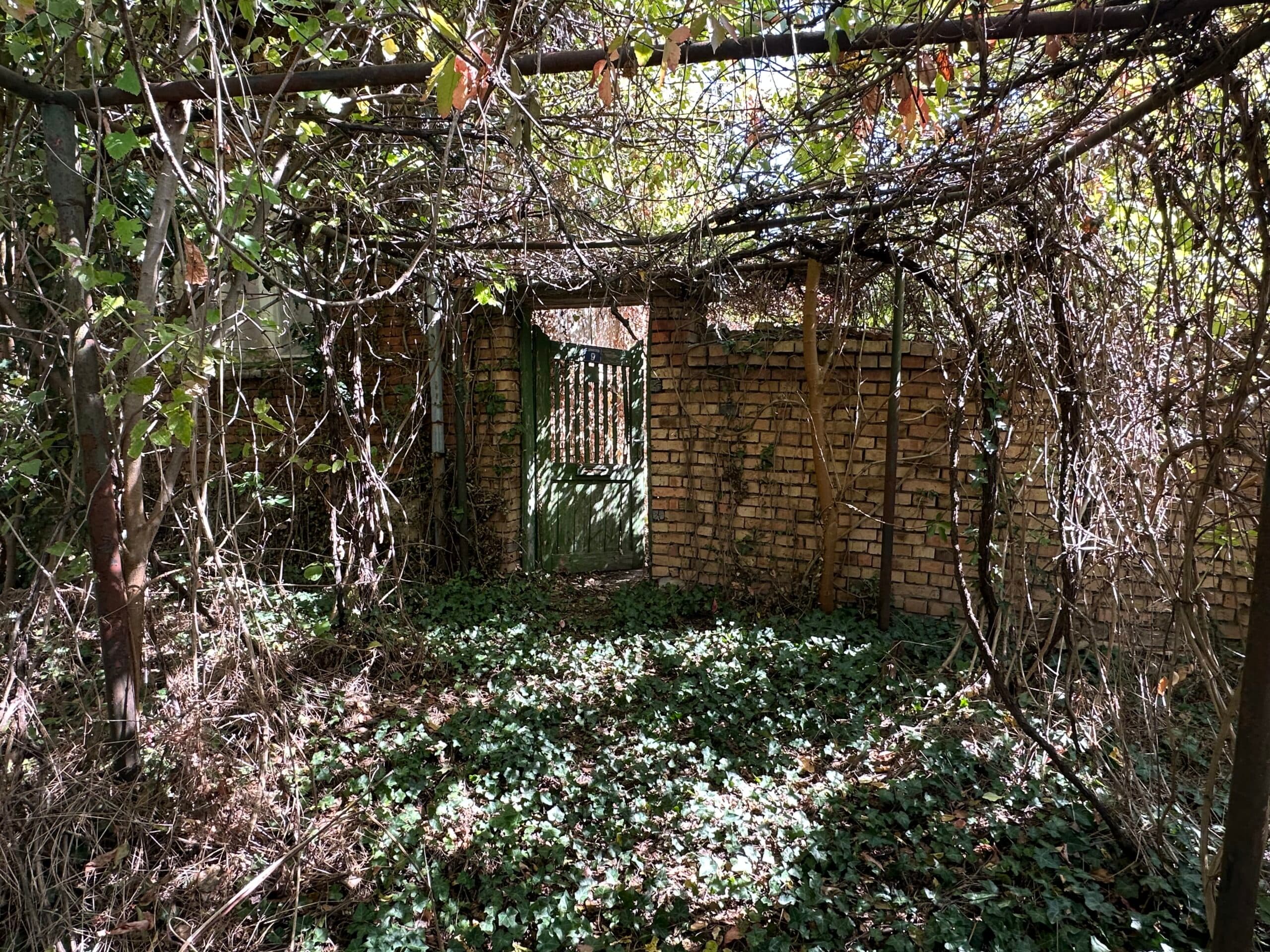 The Daisy House – Peychinovo - thumbnail 2