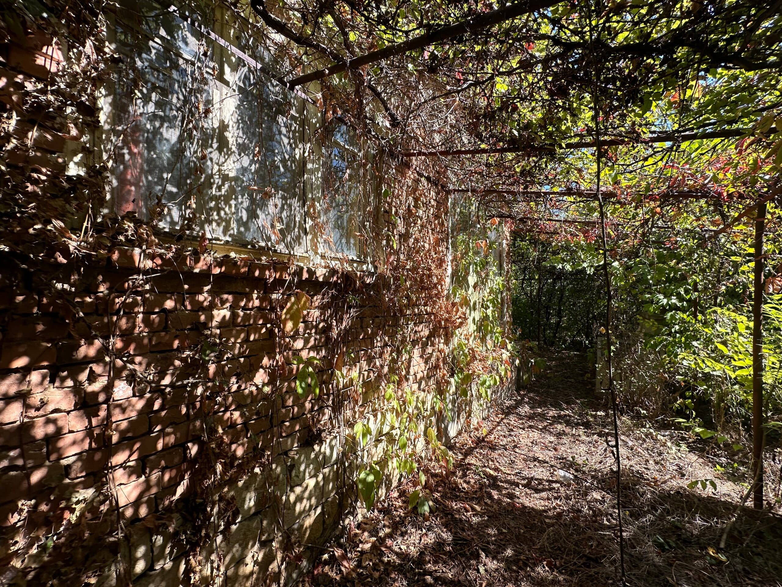 The Daisy House – Peychinovo - thumbnail 3