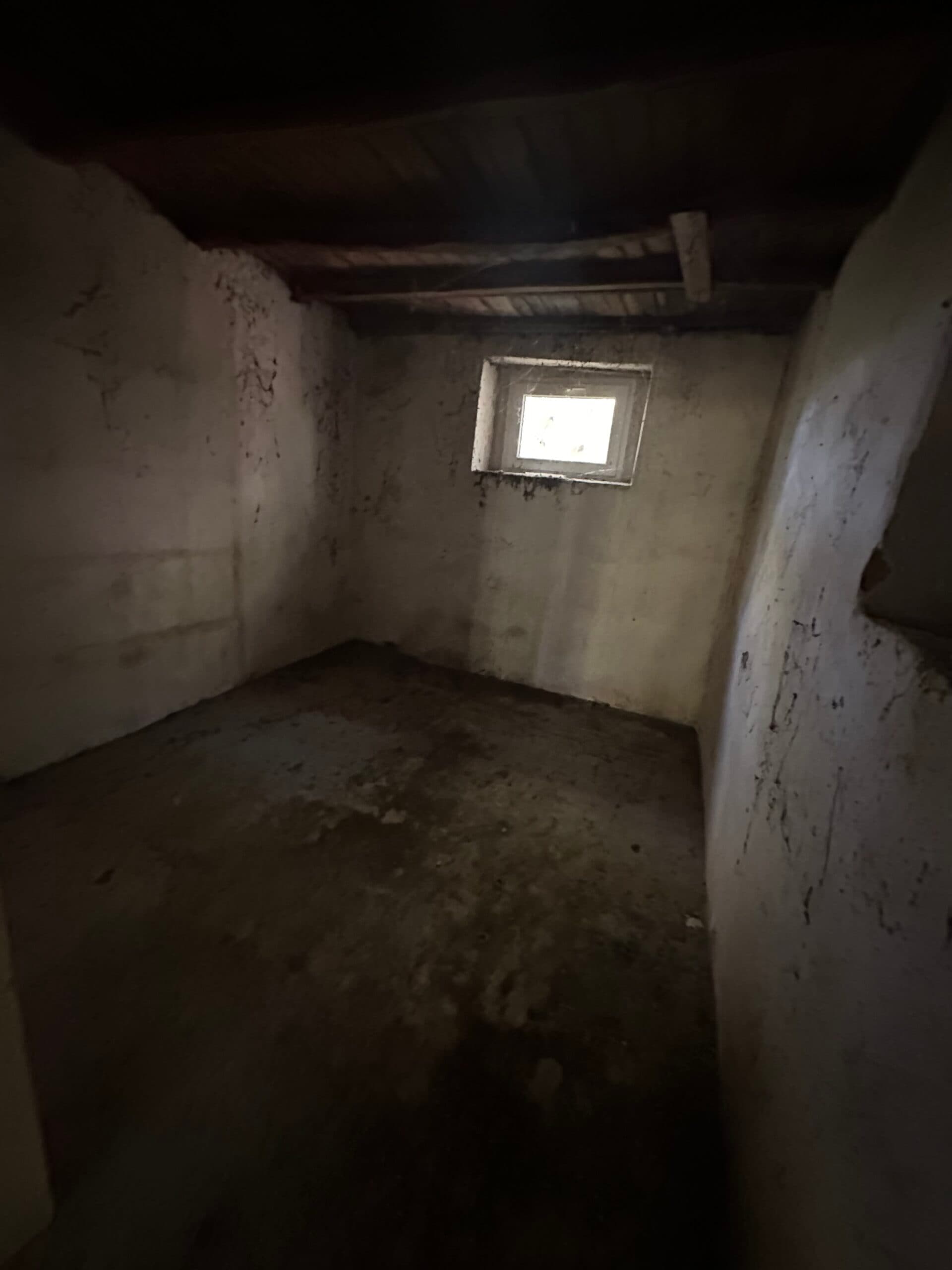 The Daisy House – Peychinovo - thumbnail 10