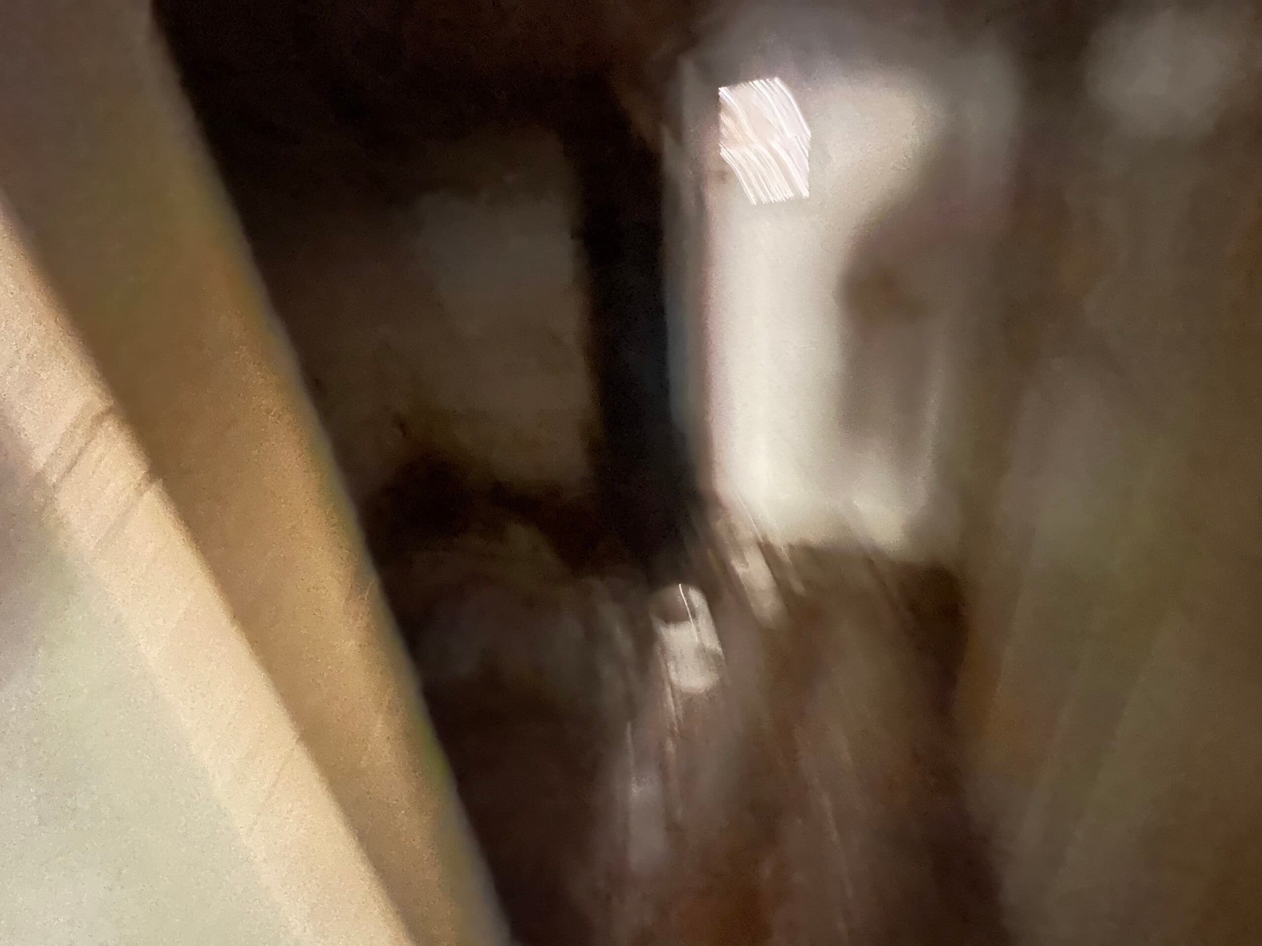 The Daisy House – Peychinovo - thumbnail 11