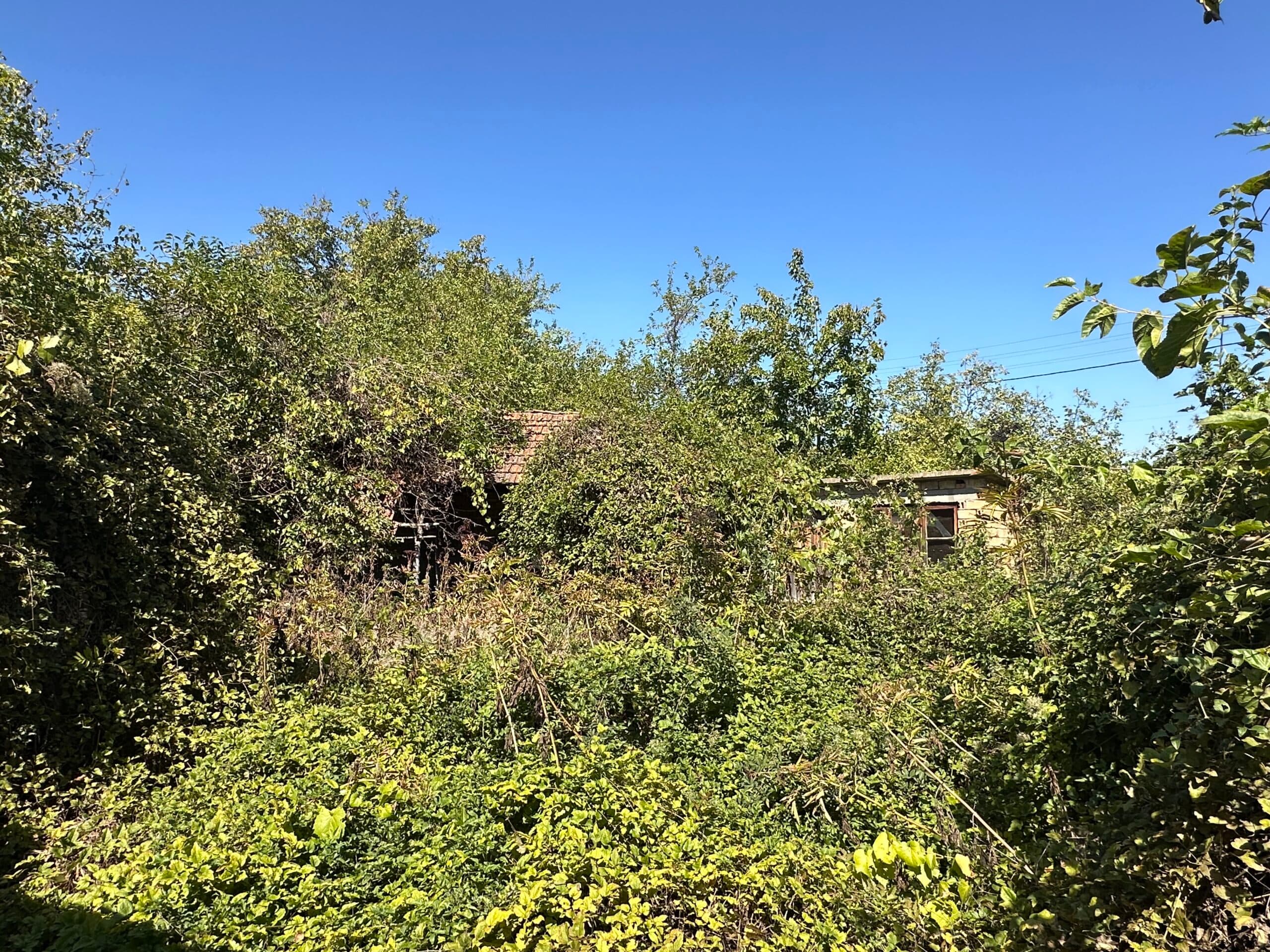 The Daisy House – Peychinovo - thumbnail 12