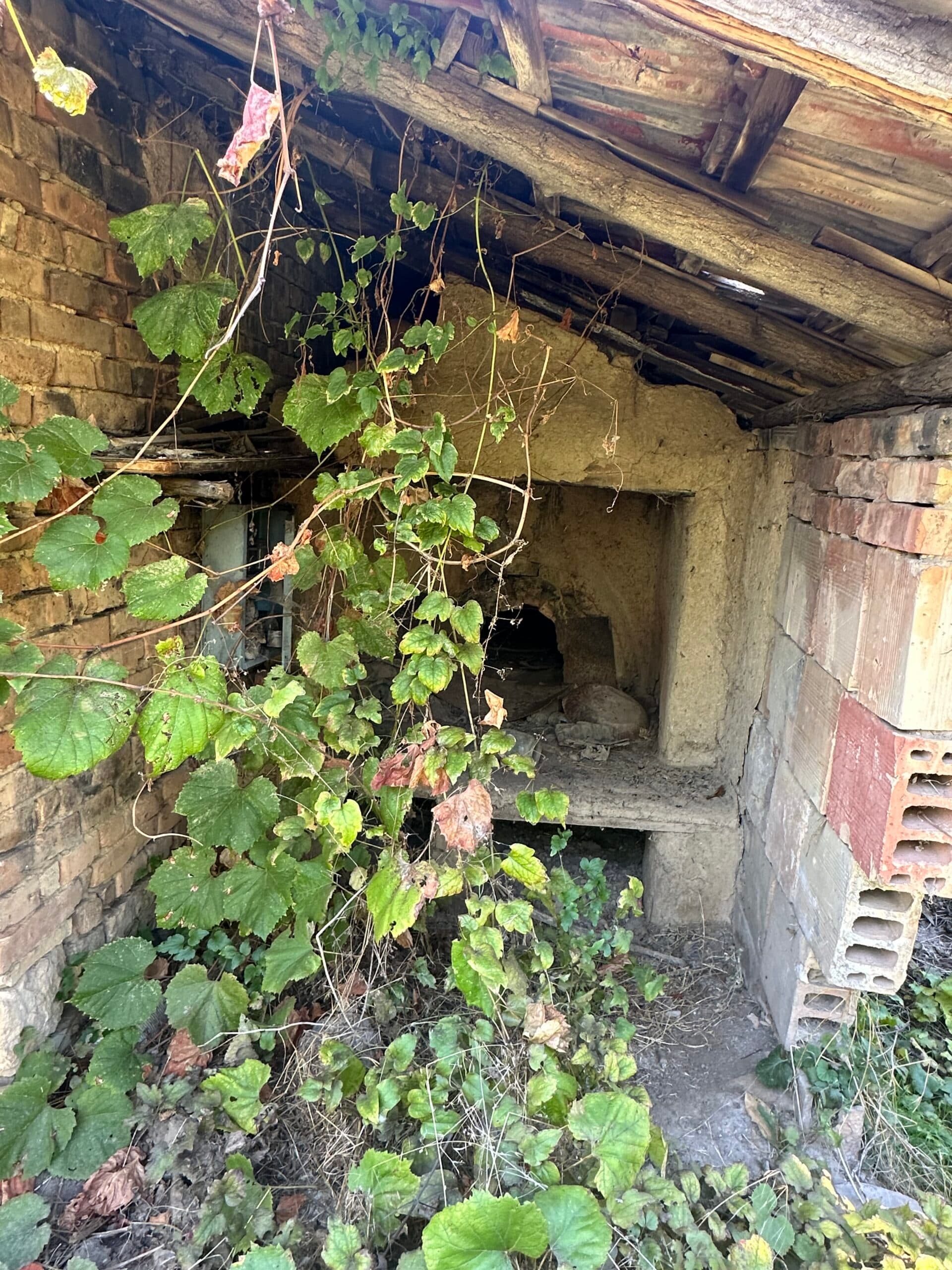 The Daisy House – Peychinovo - thumbnail 13