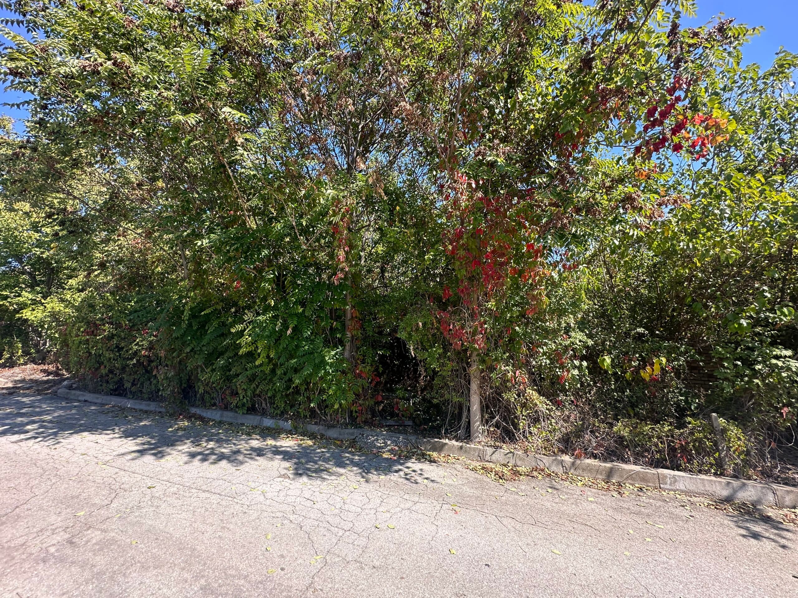 The Daisy House – Peychinovo - thumbnail 14